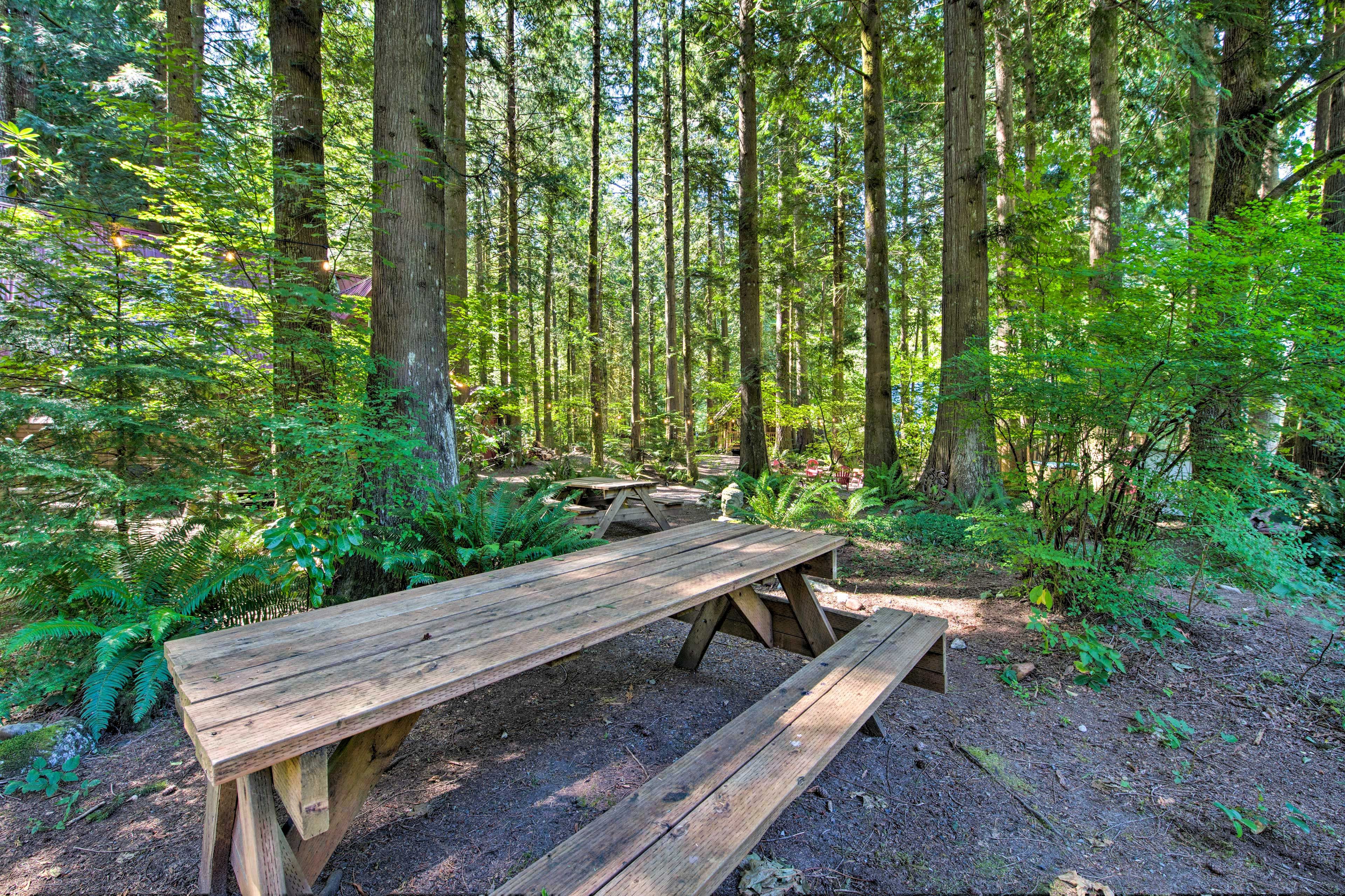 Outdoor Space