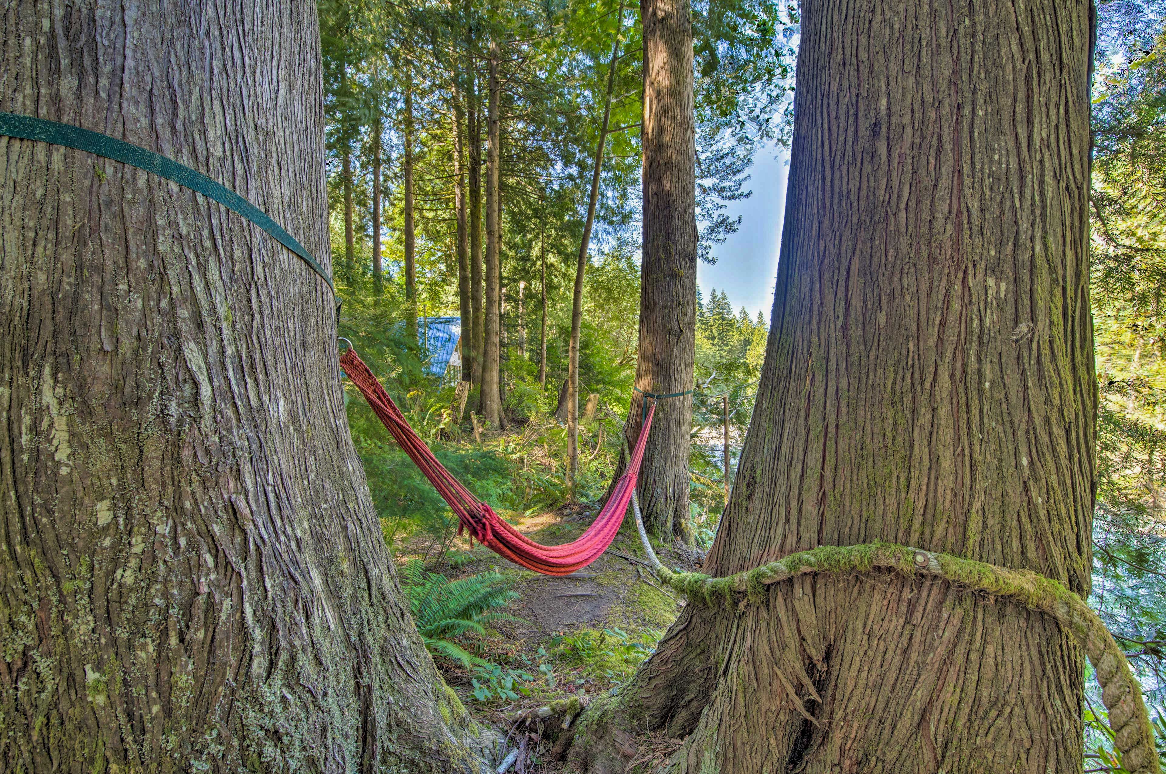 Hammock
