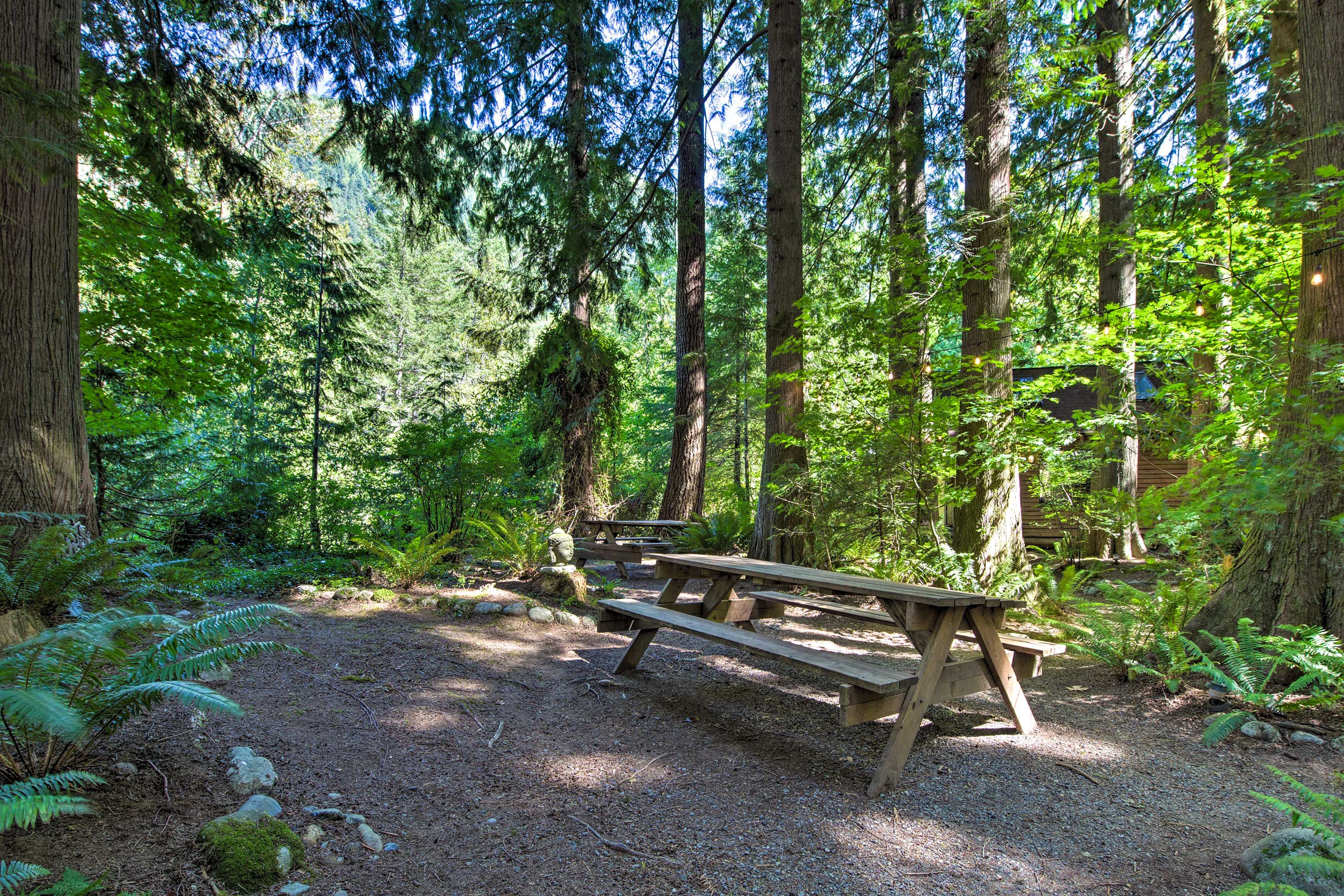 Outdoor Space