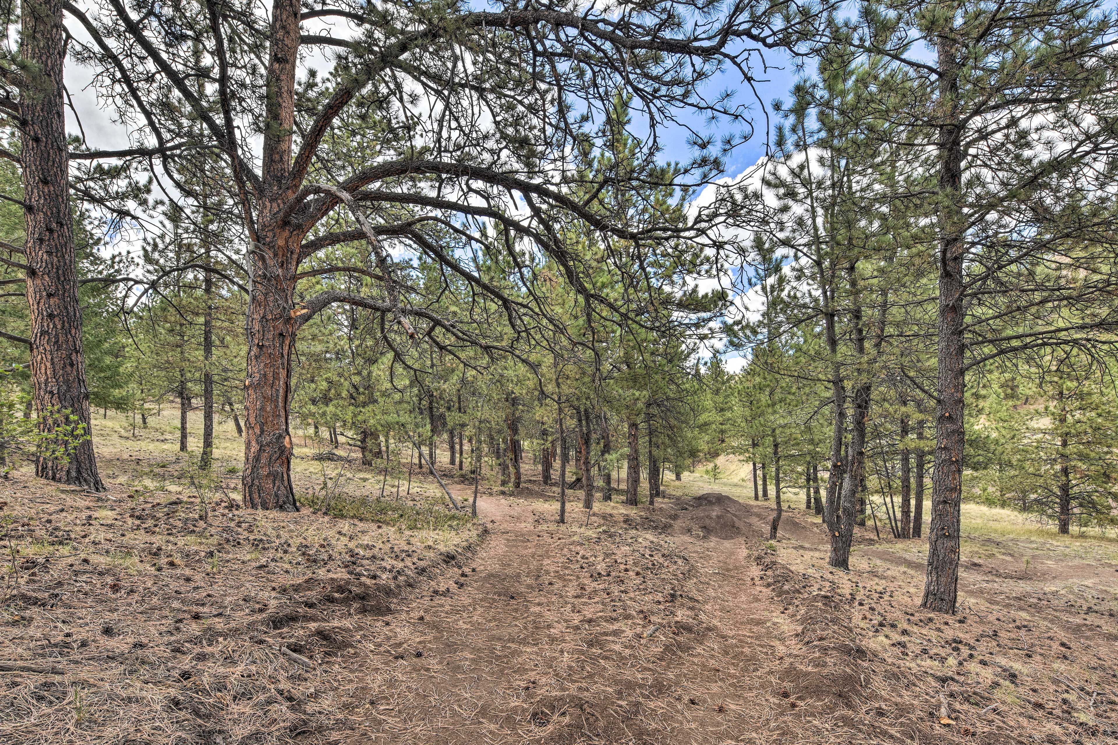 Hiking Trails On-Site