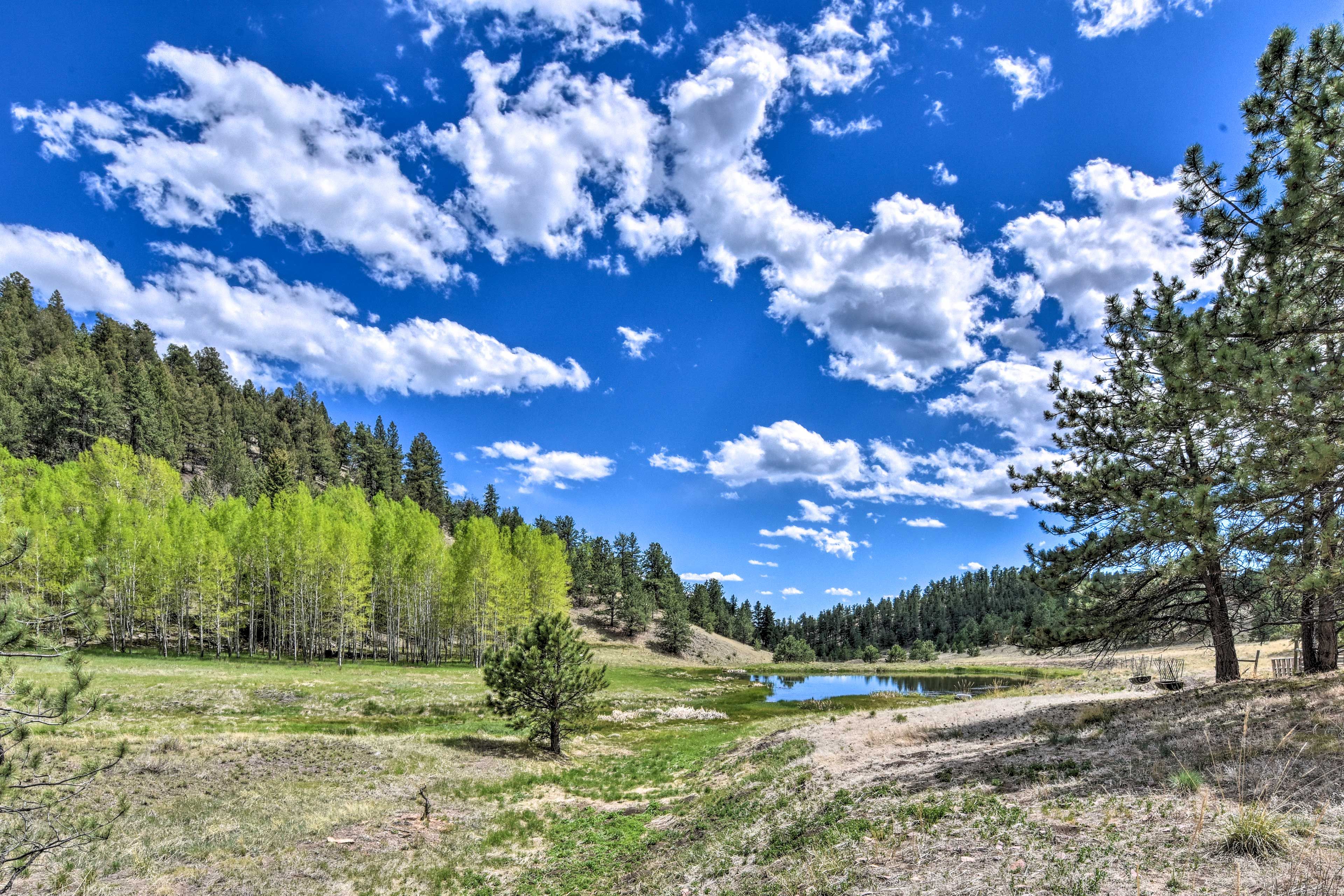 Stocked Trout Pond