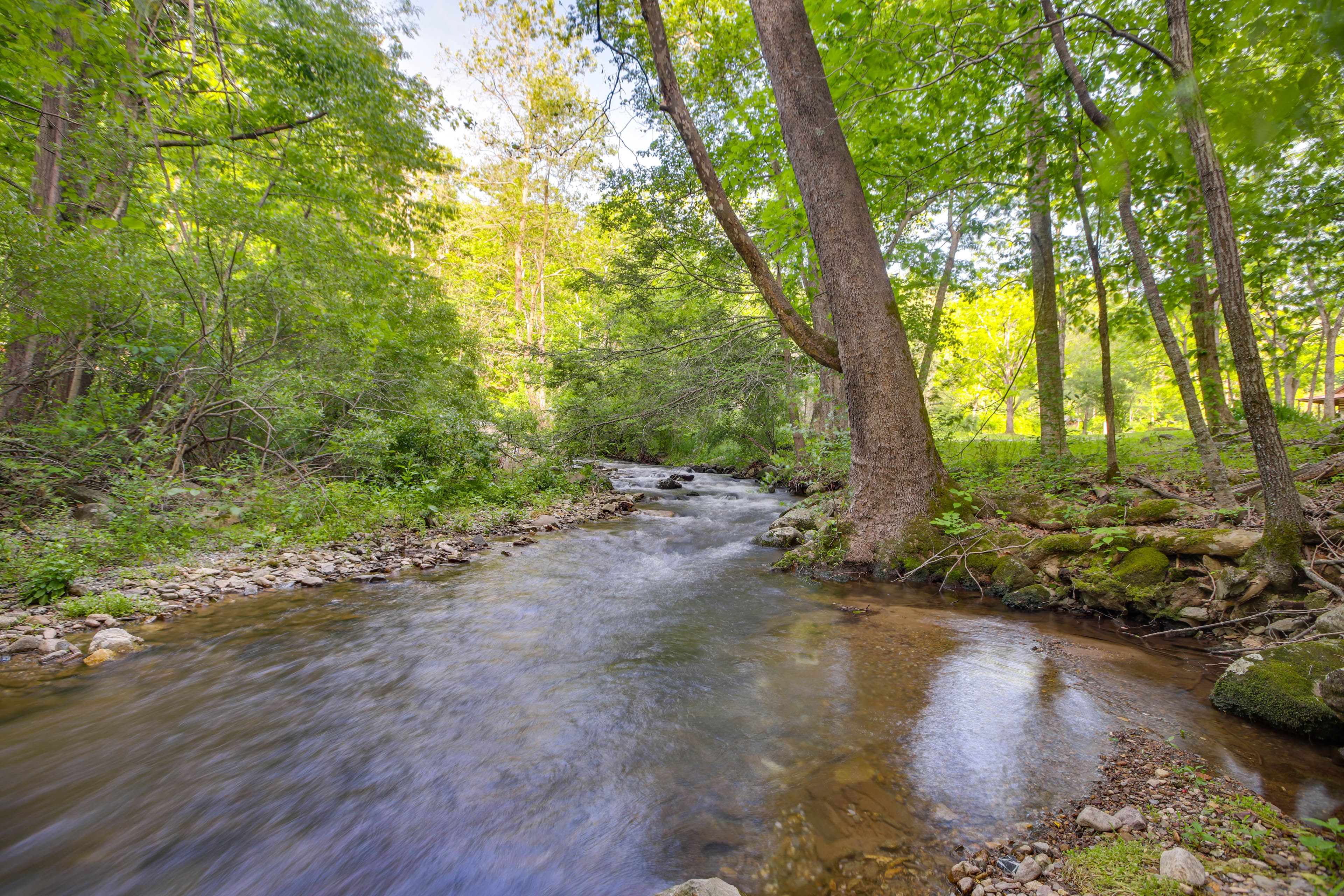 On-Site Creek | Trout Fishing | Swimming
