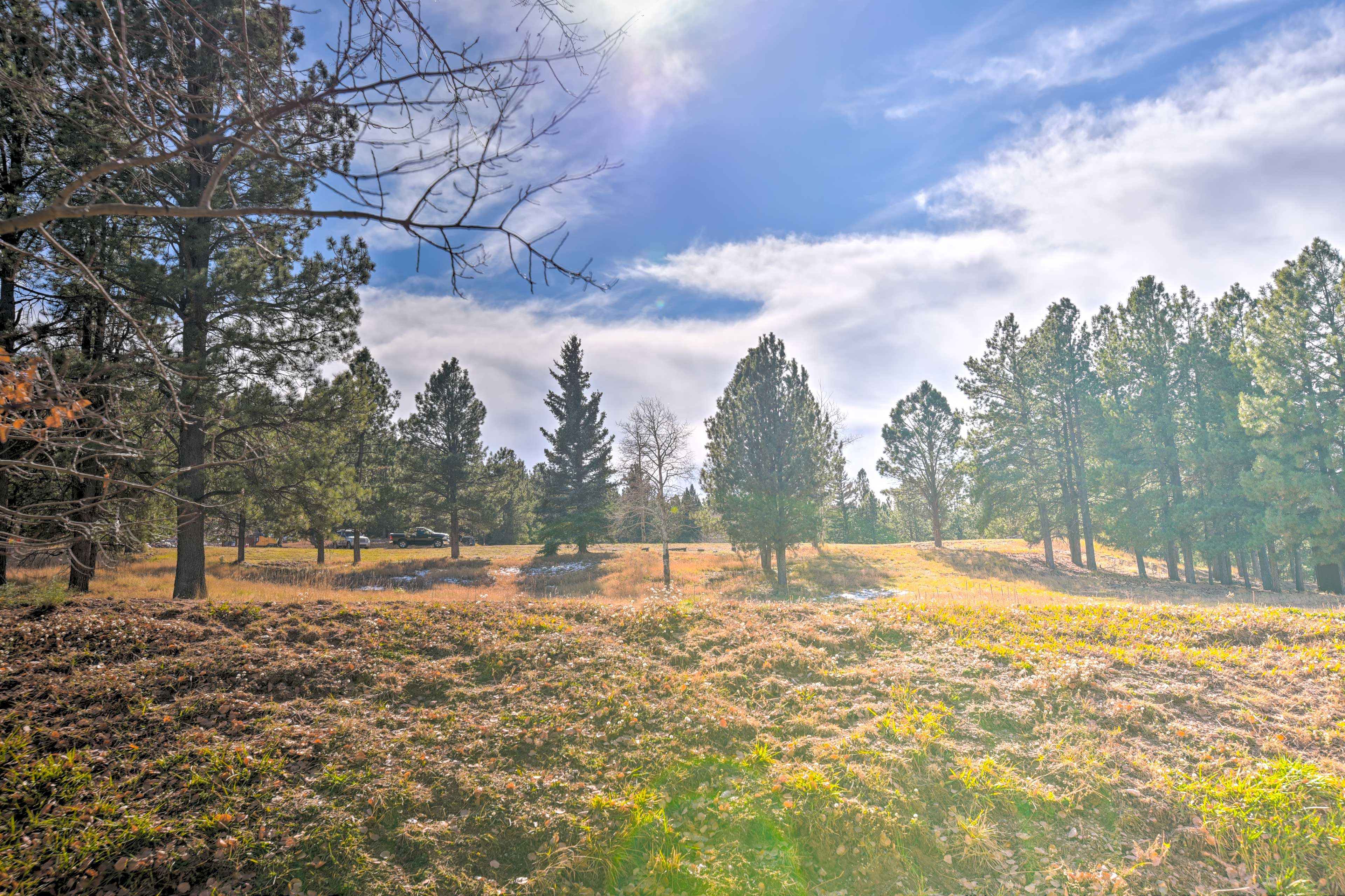 Property Views