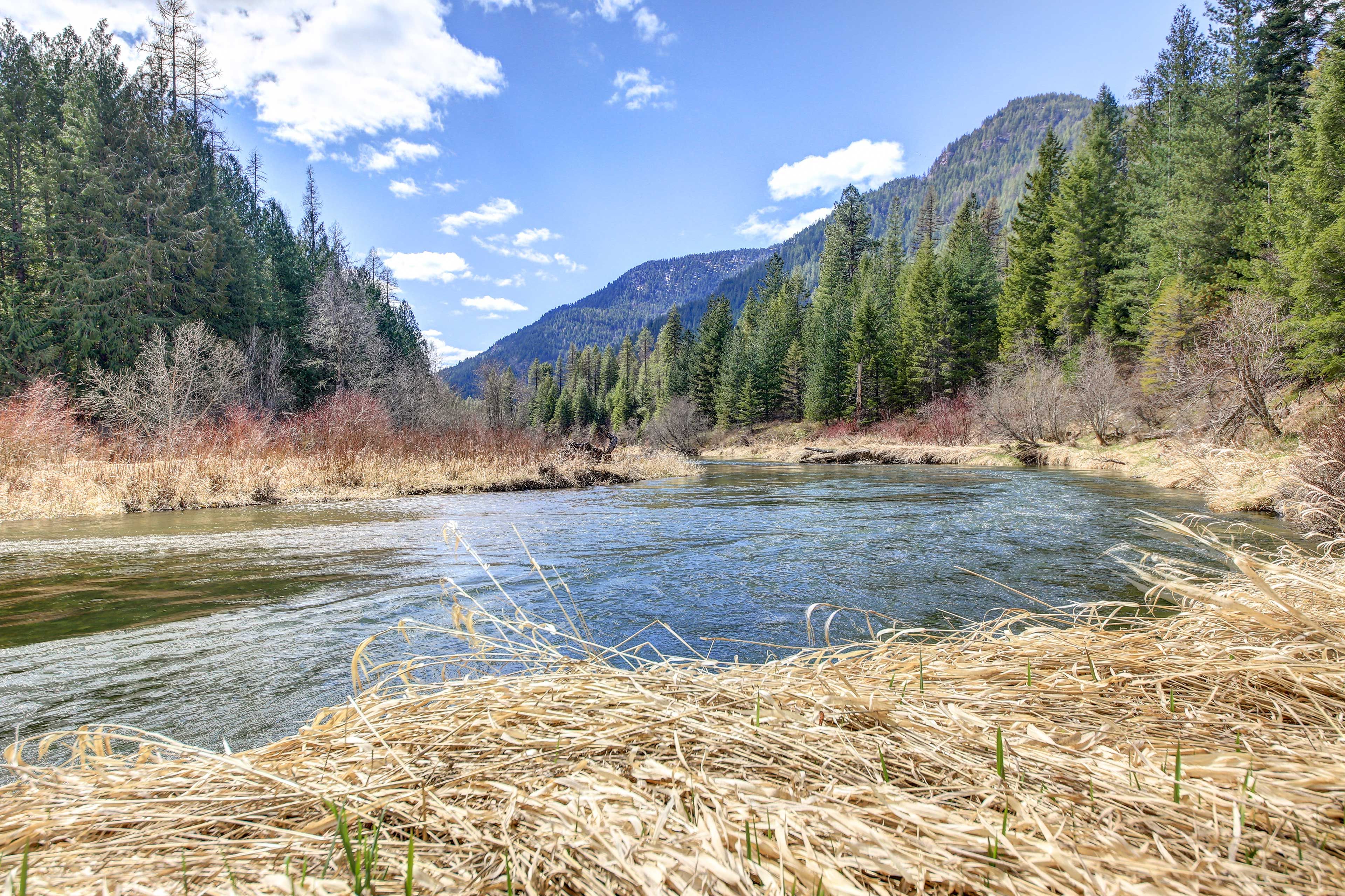 Bull River | Catch & Release Trout Fishing