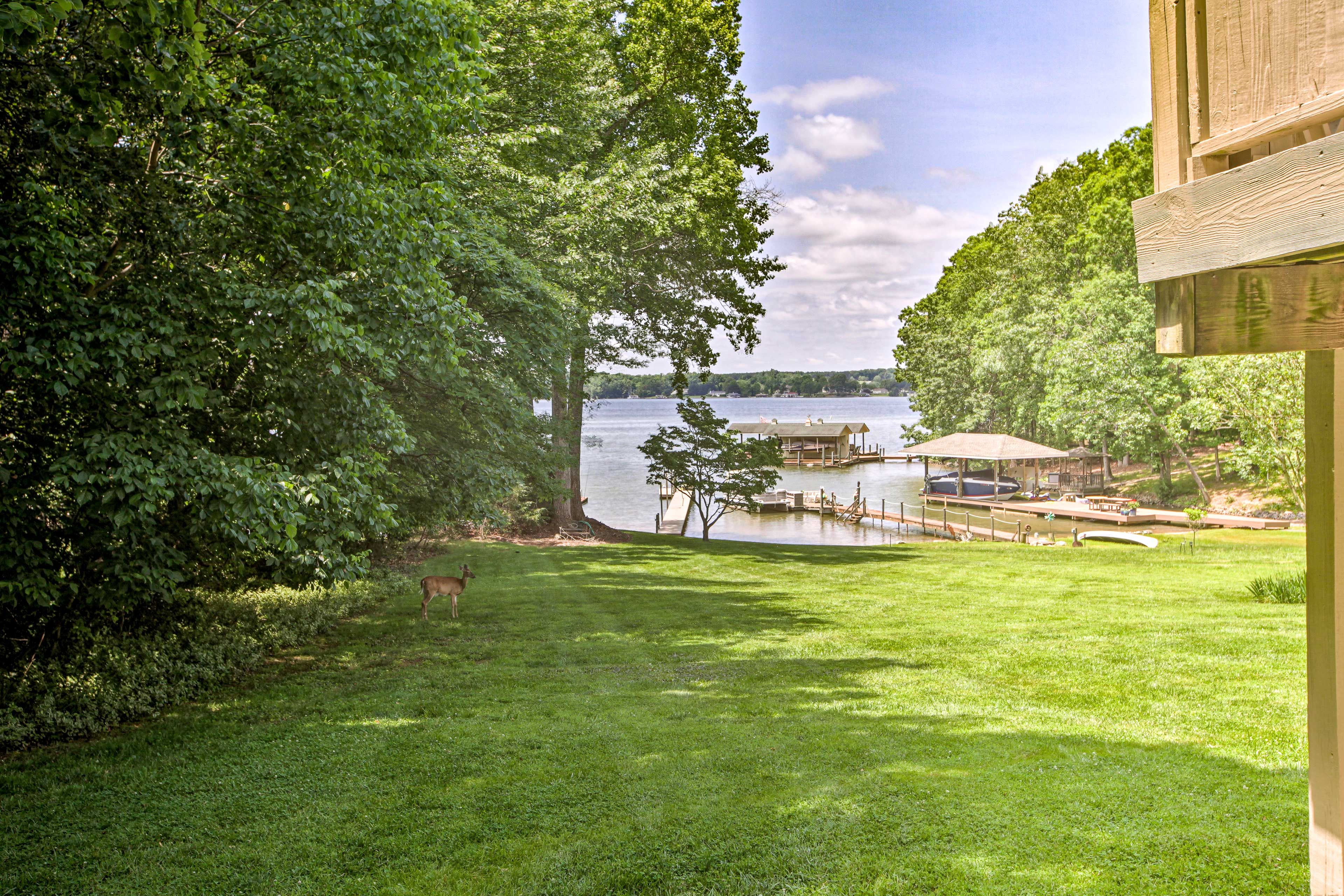 Spacious Yard