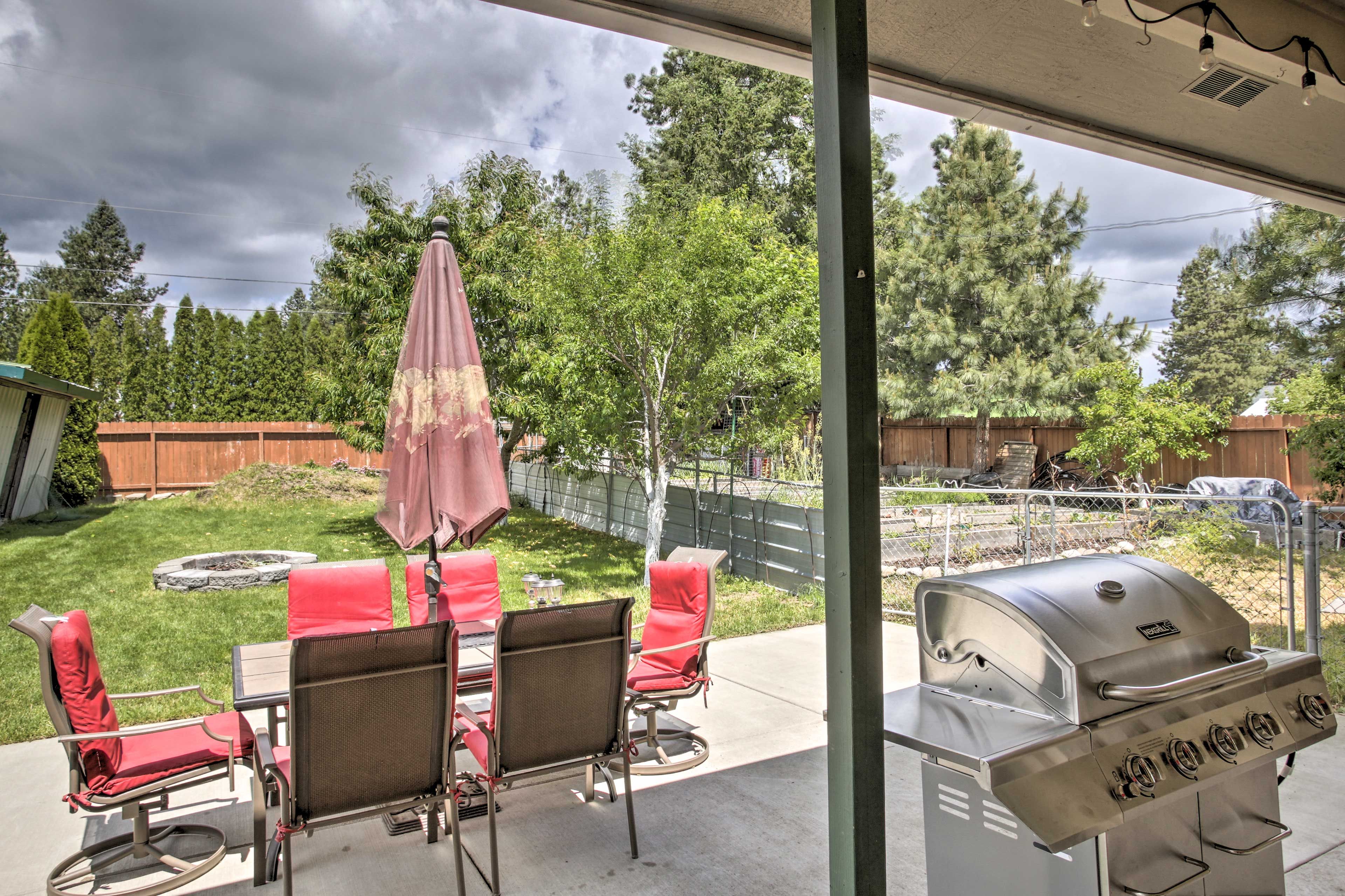 Backyard