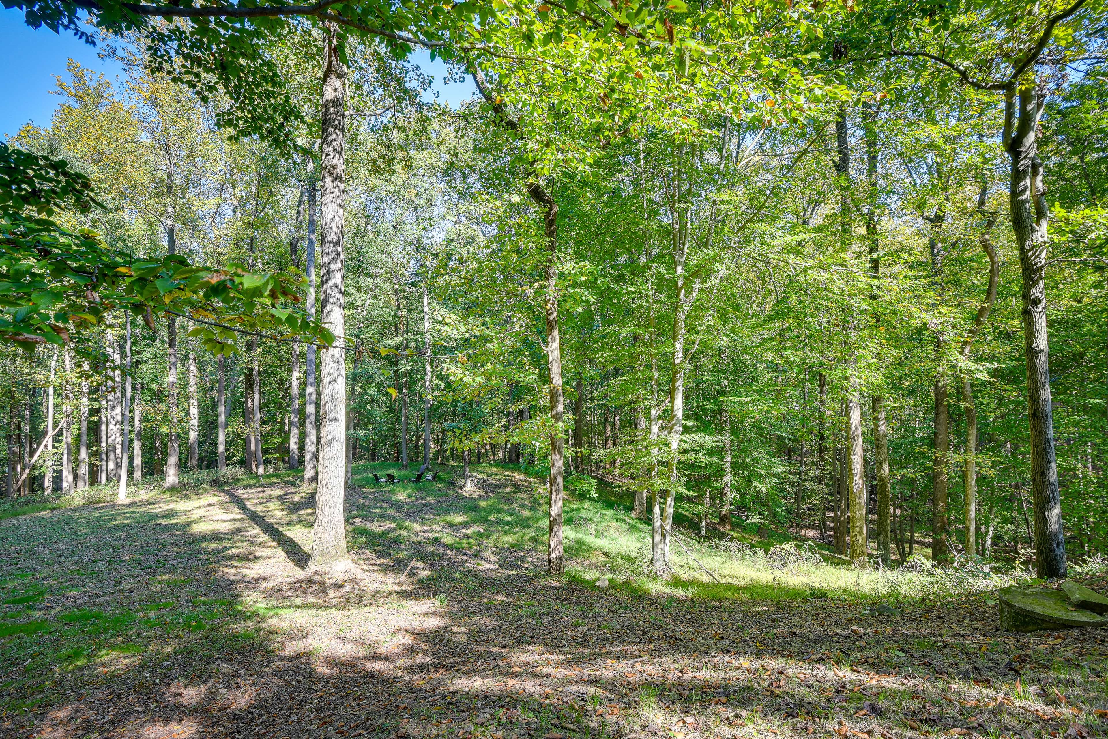 Surrounding Area