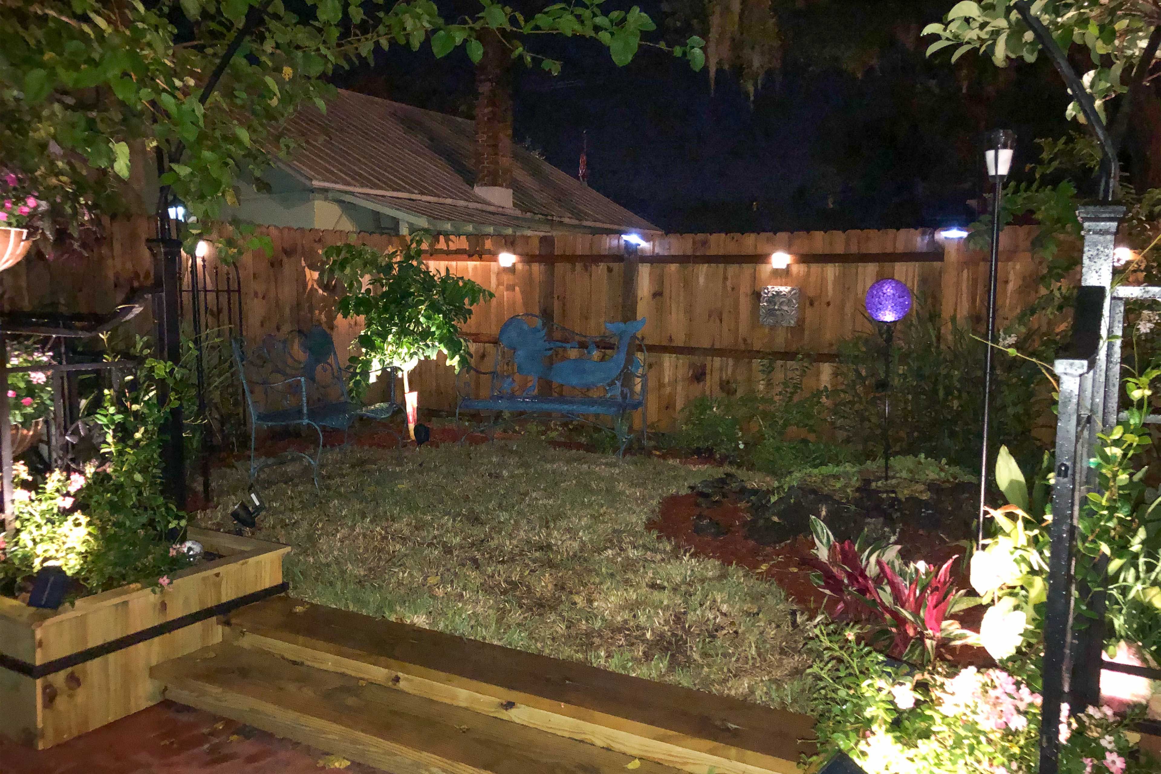 Backyard | Garden