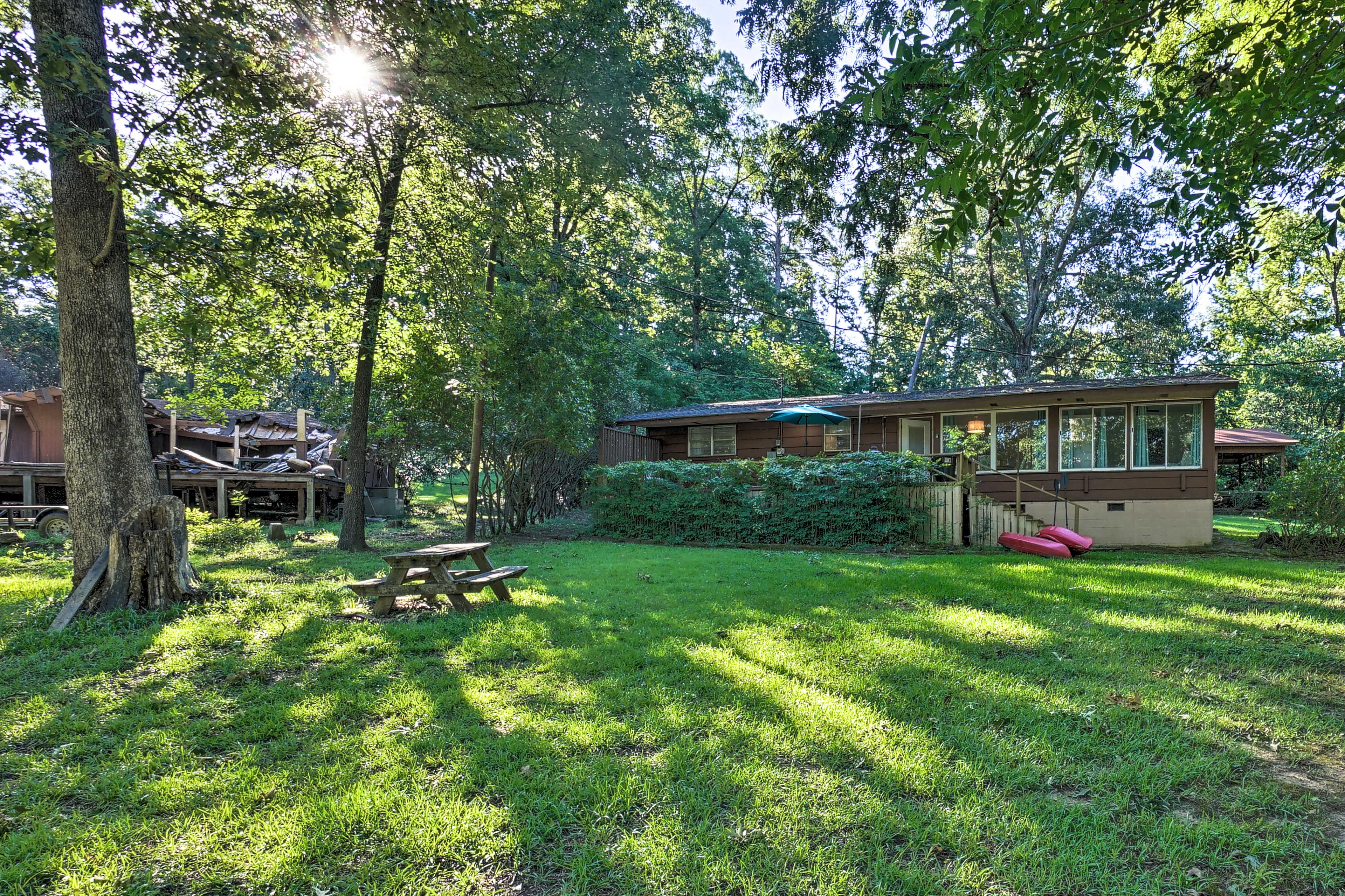Backyard