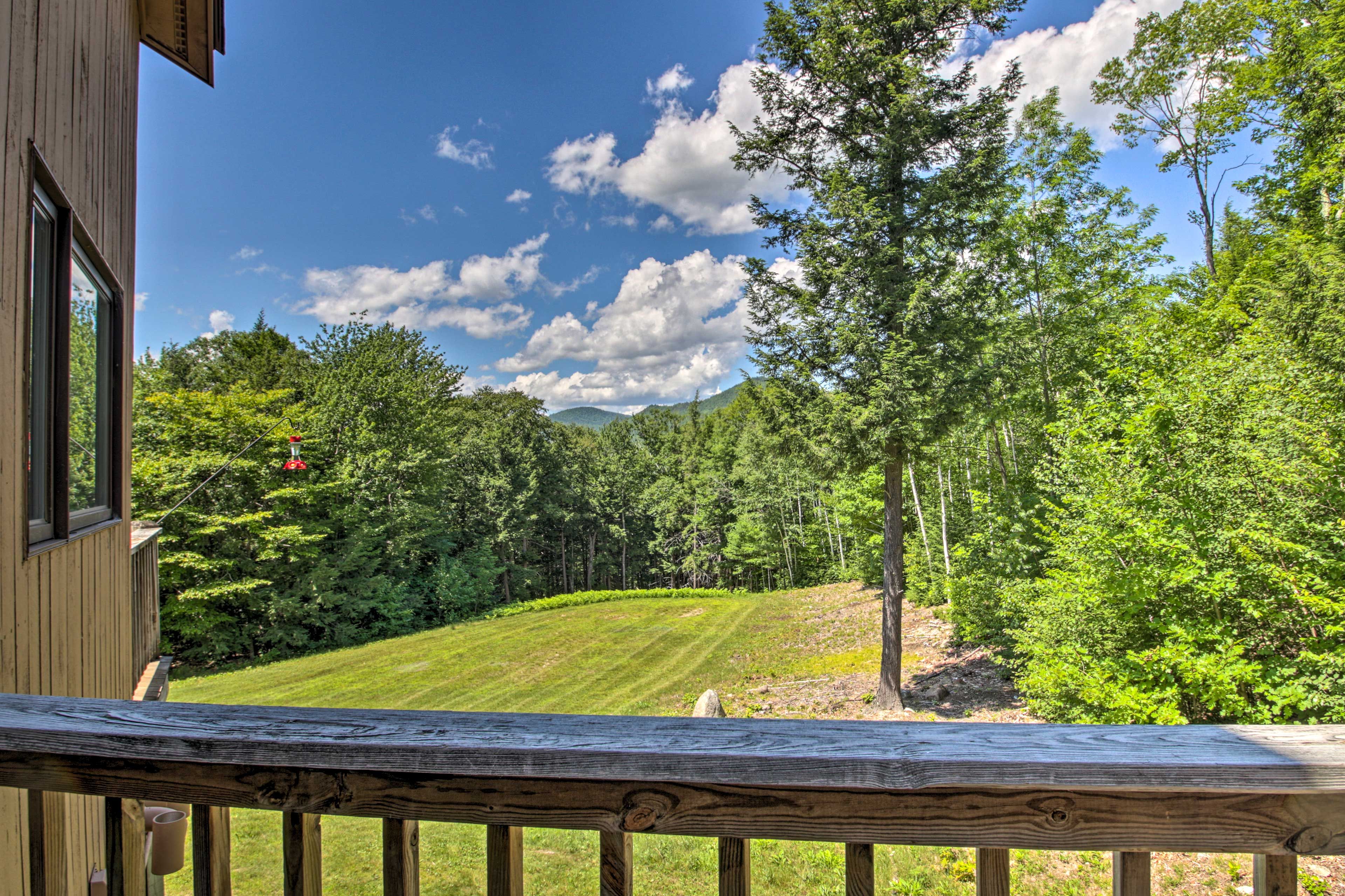 Private Balcony | Views