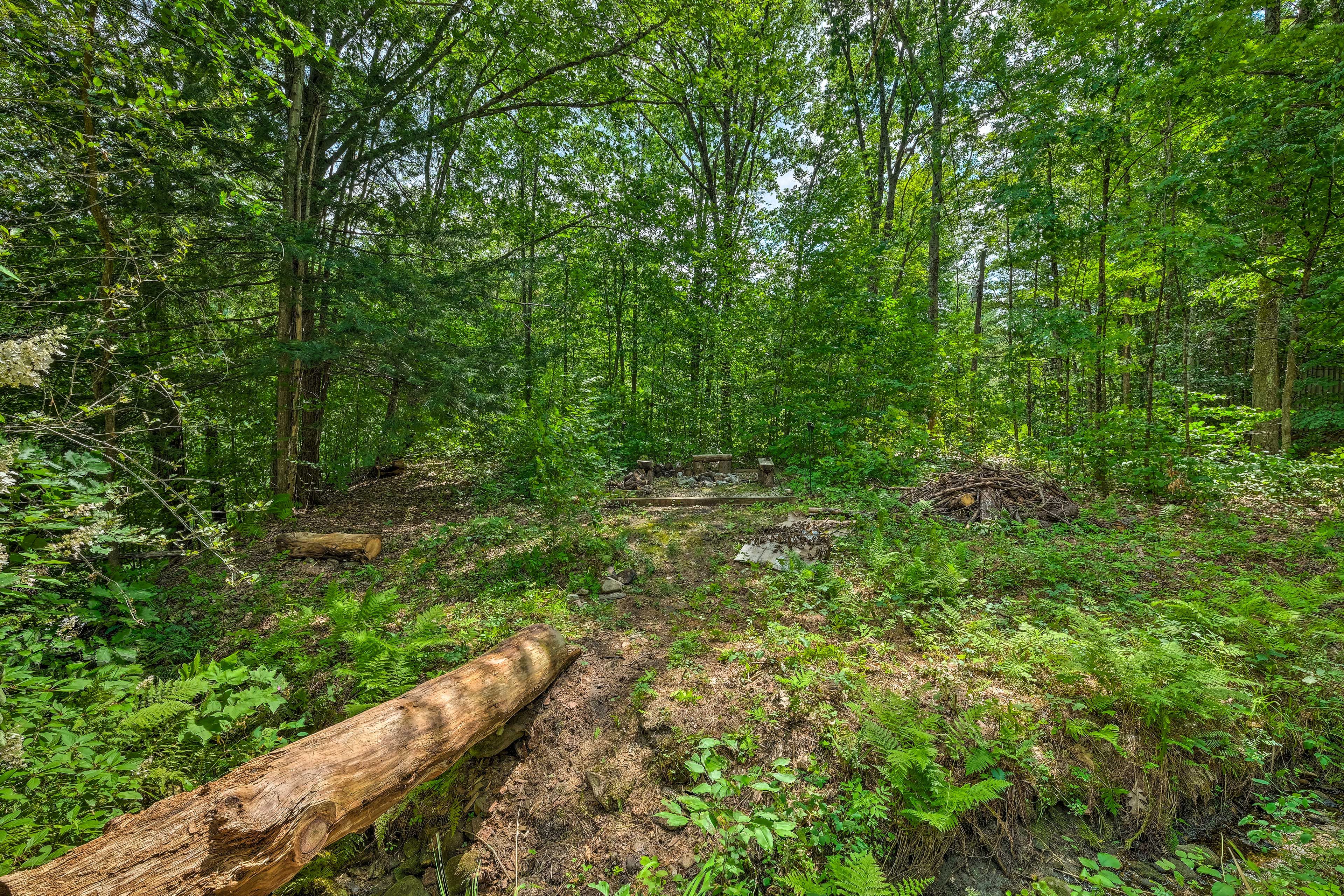 The surrounding forest creates a private space.