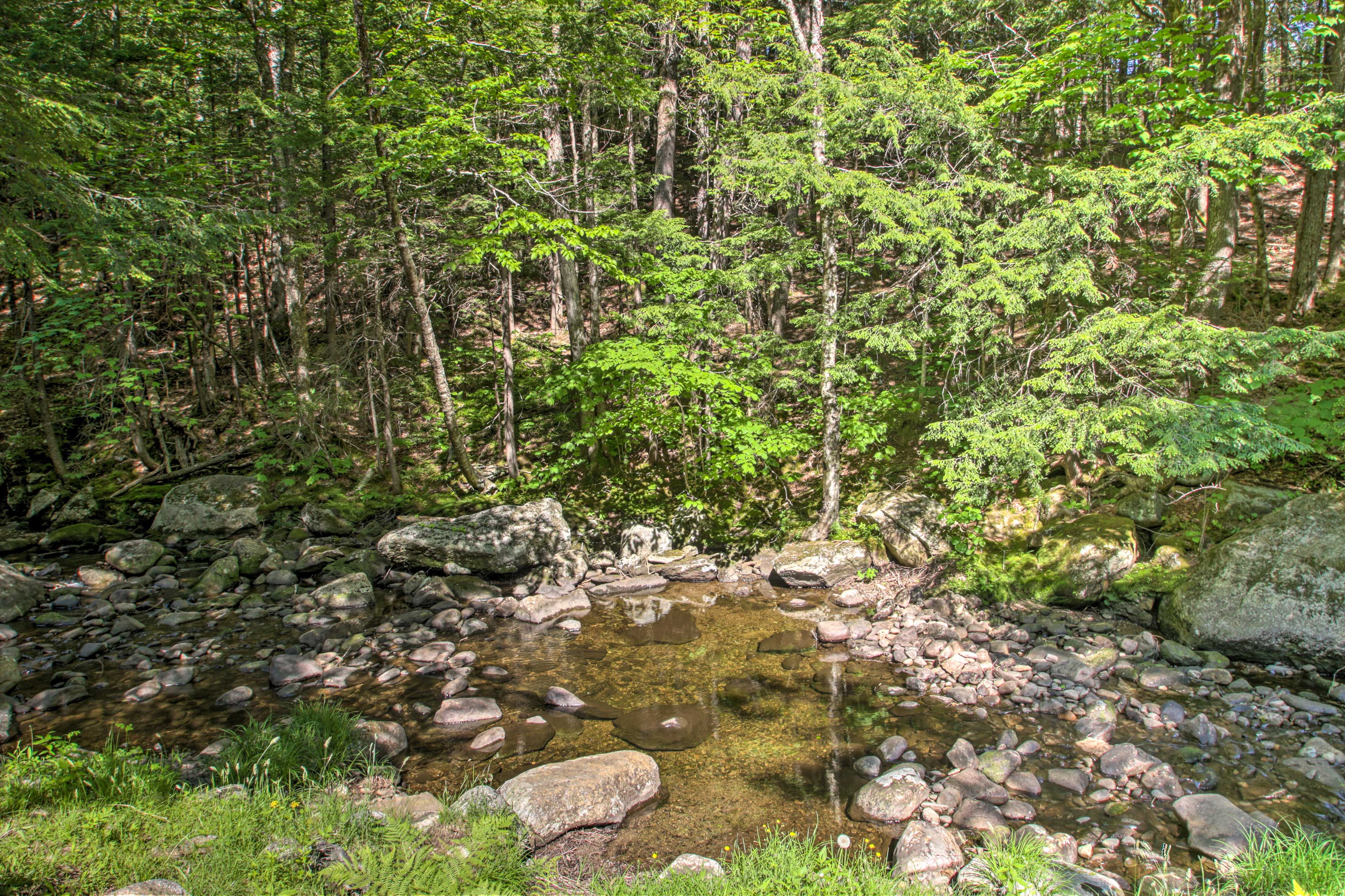 Venture out on a morning stroll along the creek.