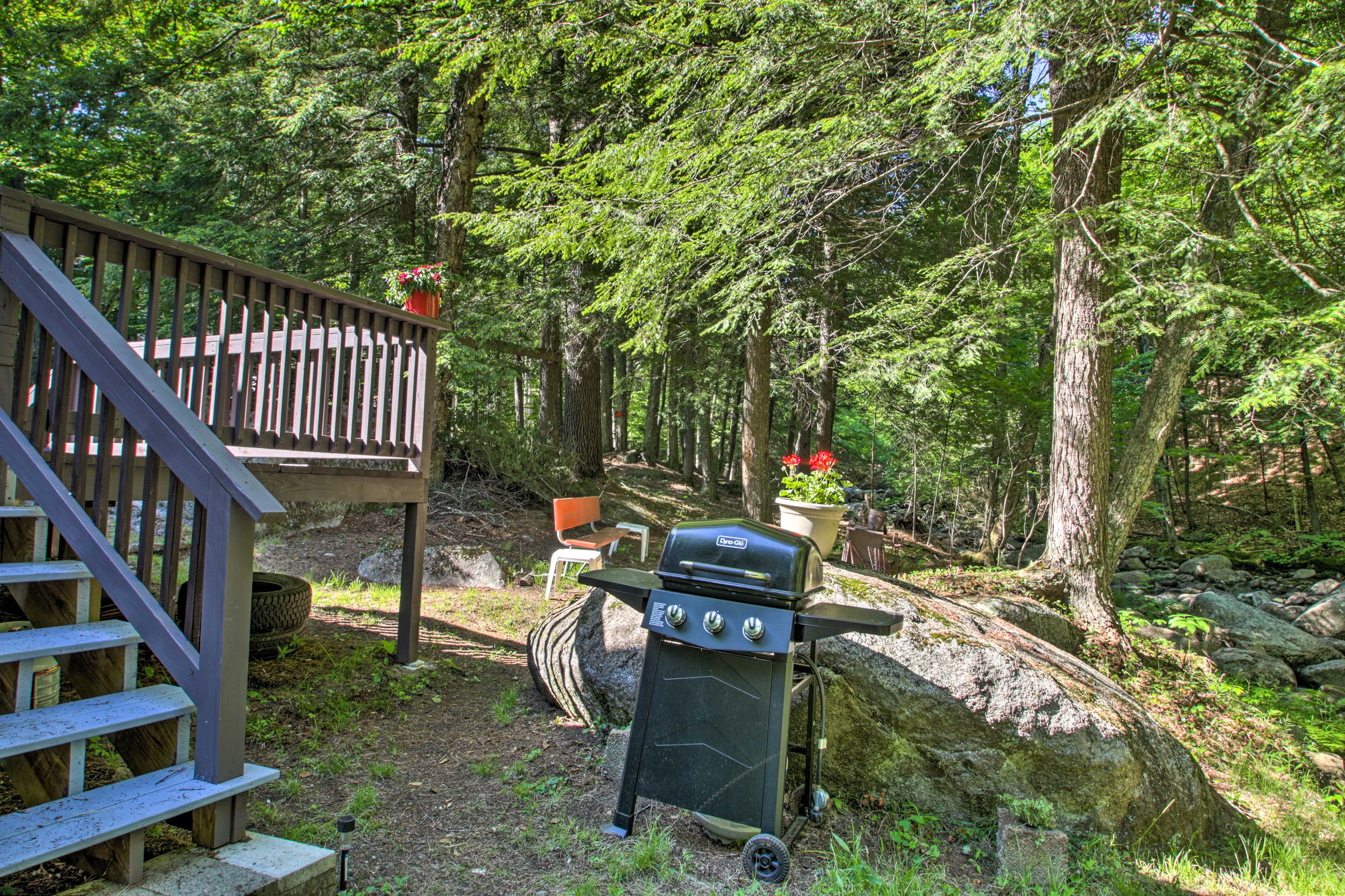Fire up the gas grill for an afternoon BBQ!