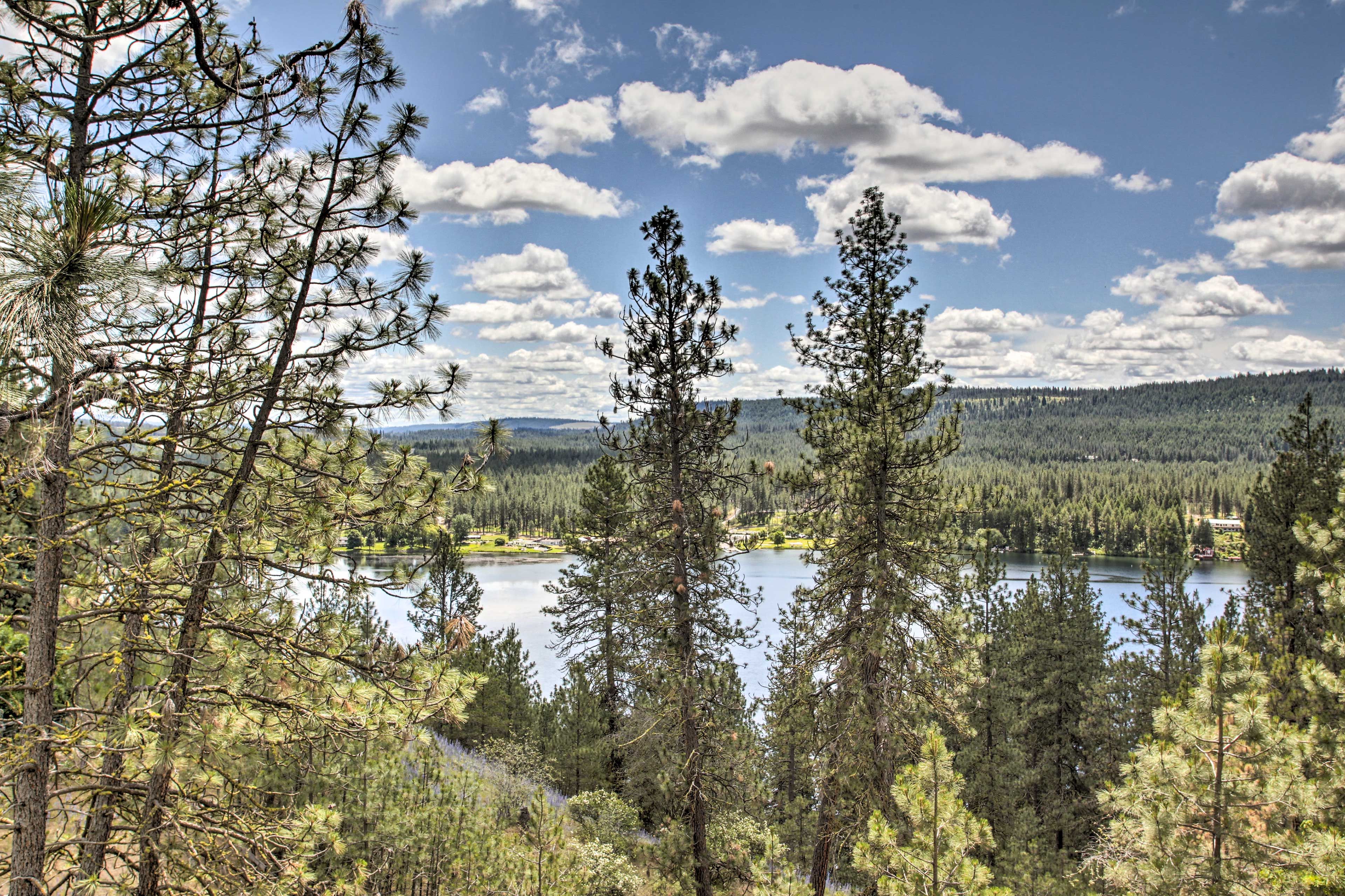 Spokane River Views