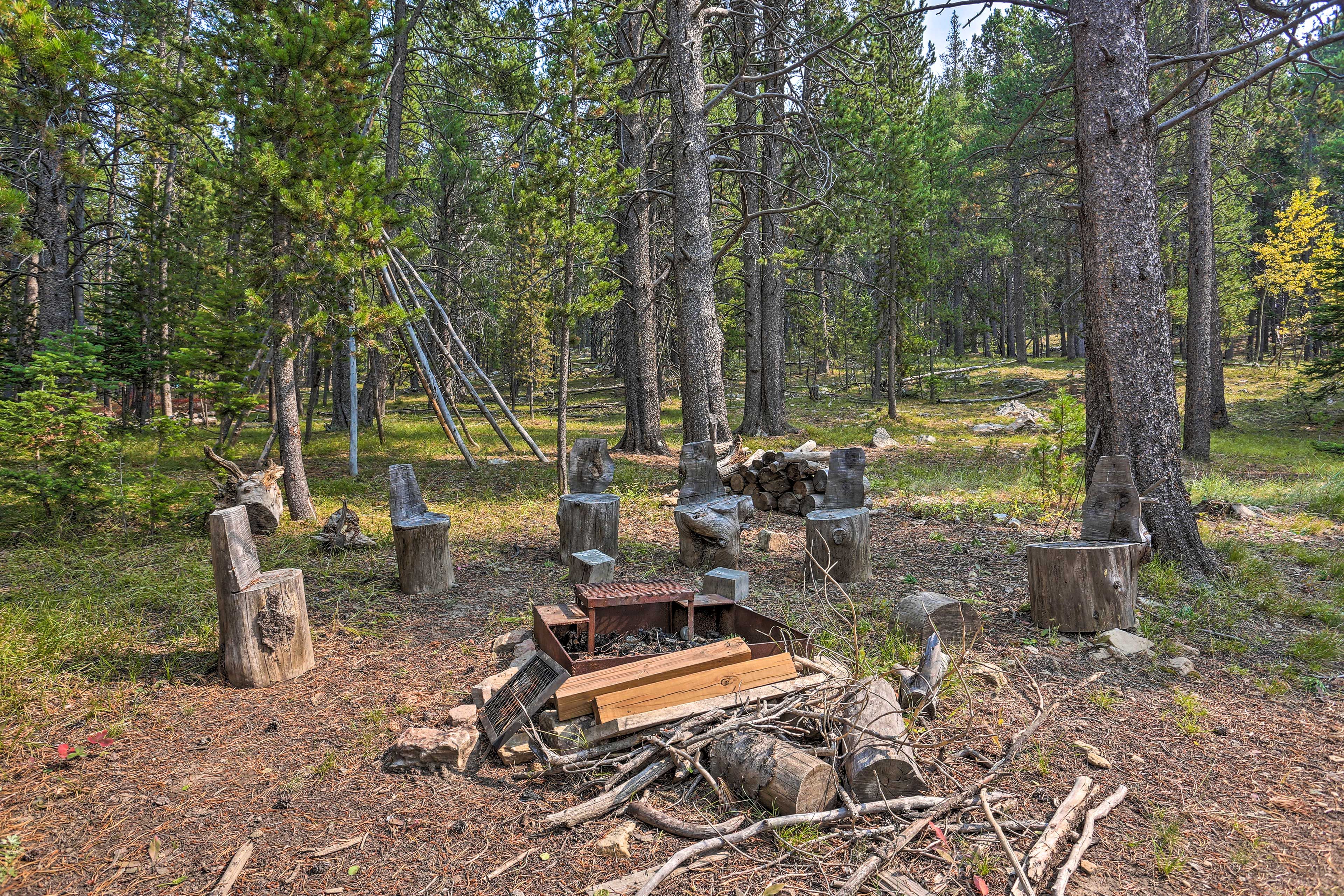 Yard | Fire Pit | Horseshoes | Picnic Table
