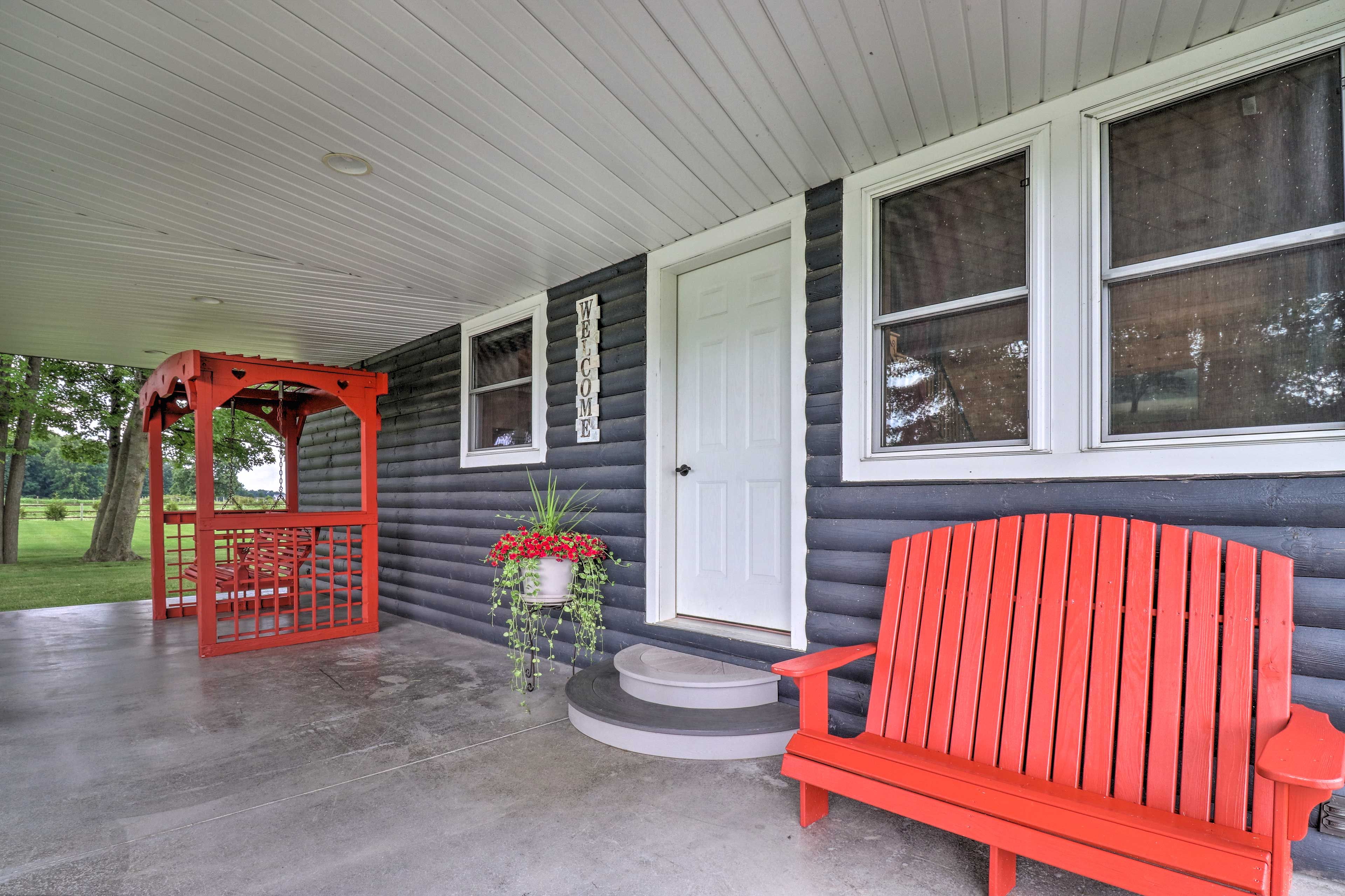Image 19
