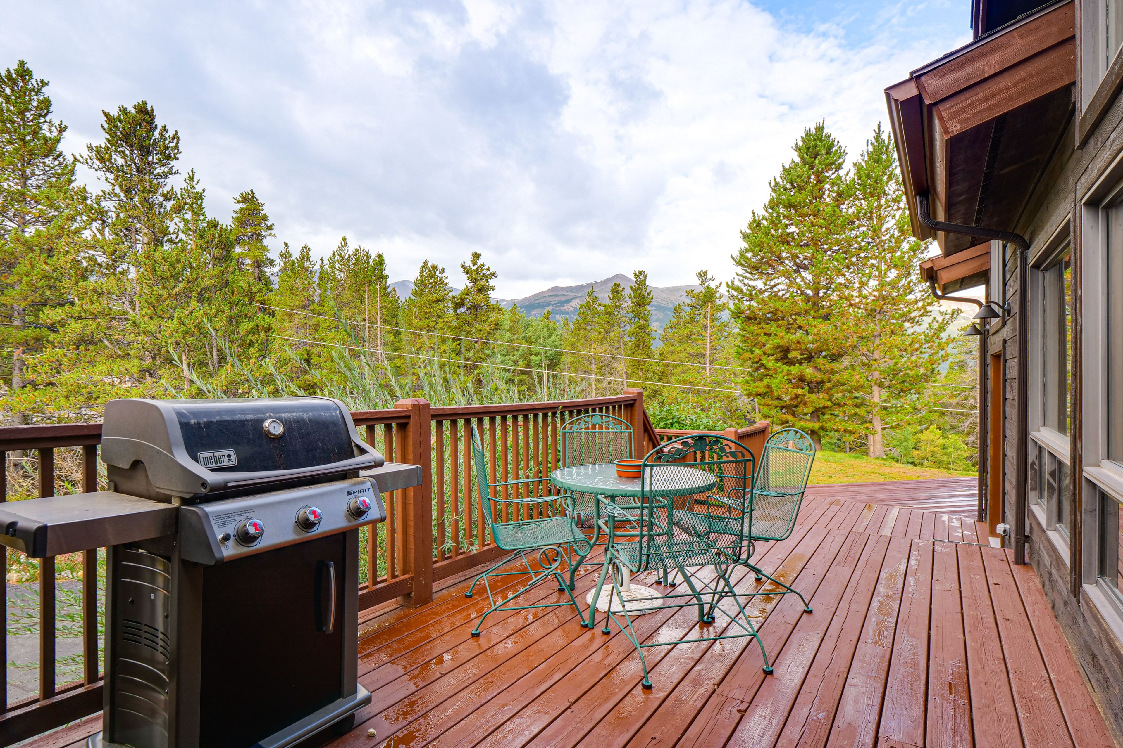 Deck | Gas Grill