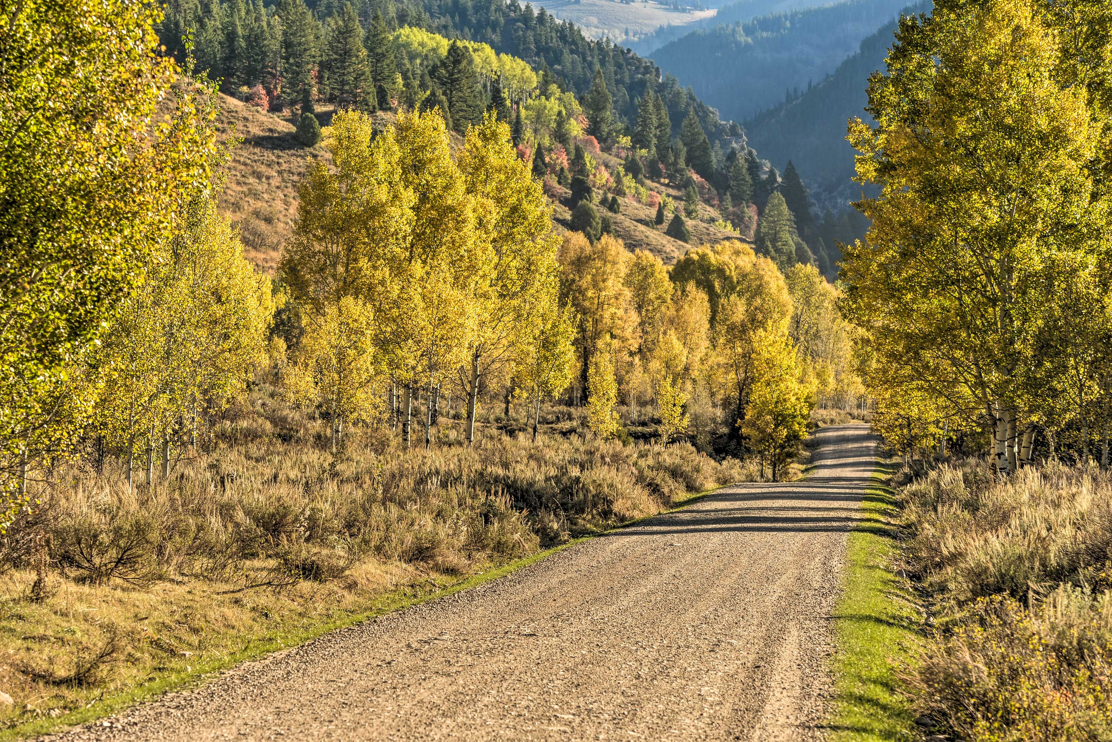 Road to Access Cabin
