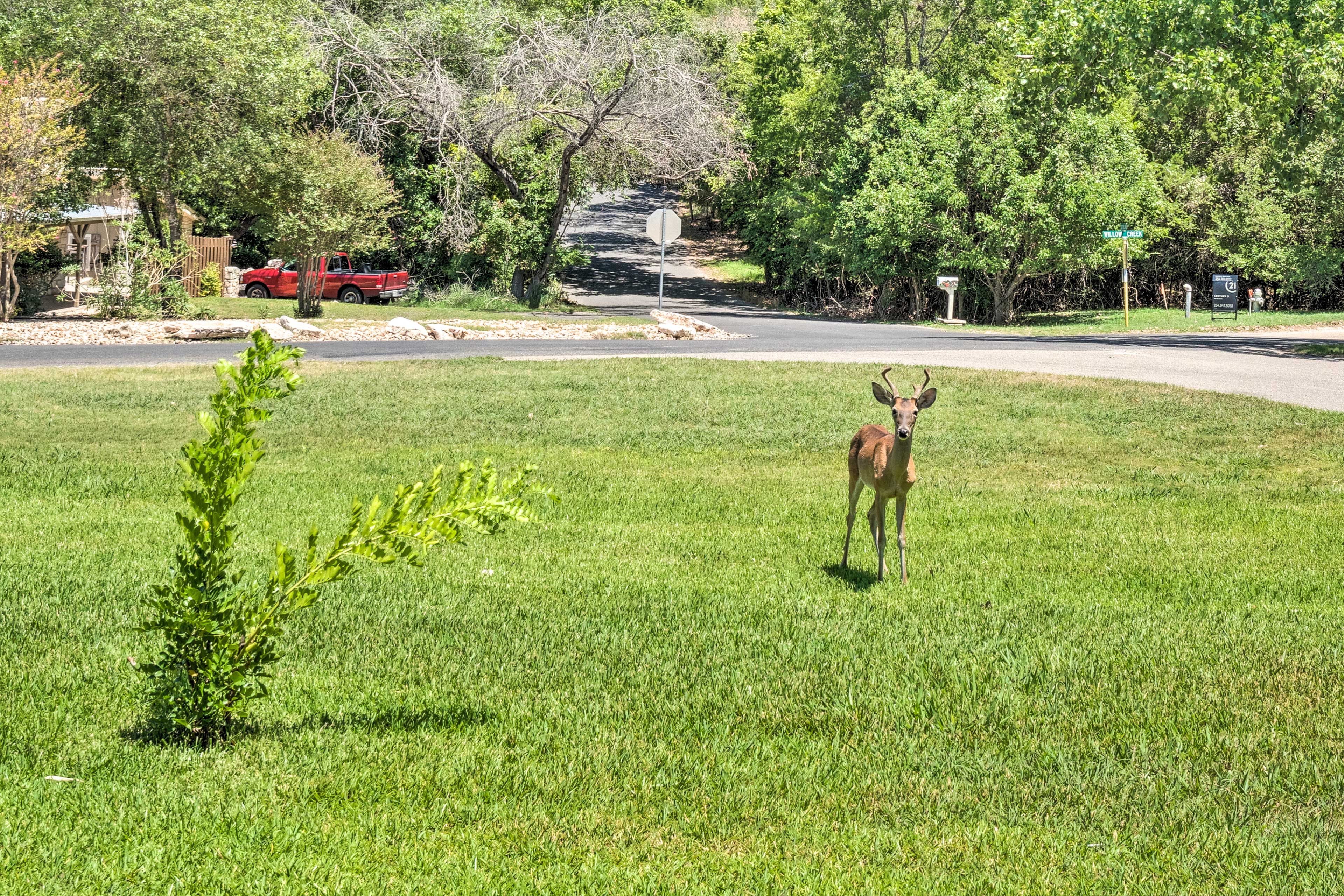 Keep an eye out for wildlife, you might just make a few friends along the way.