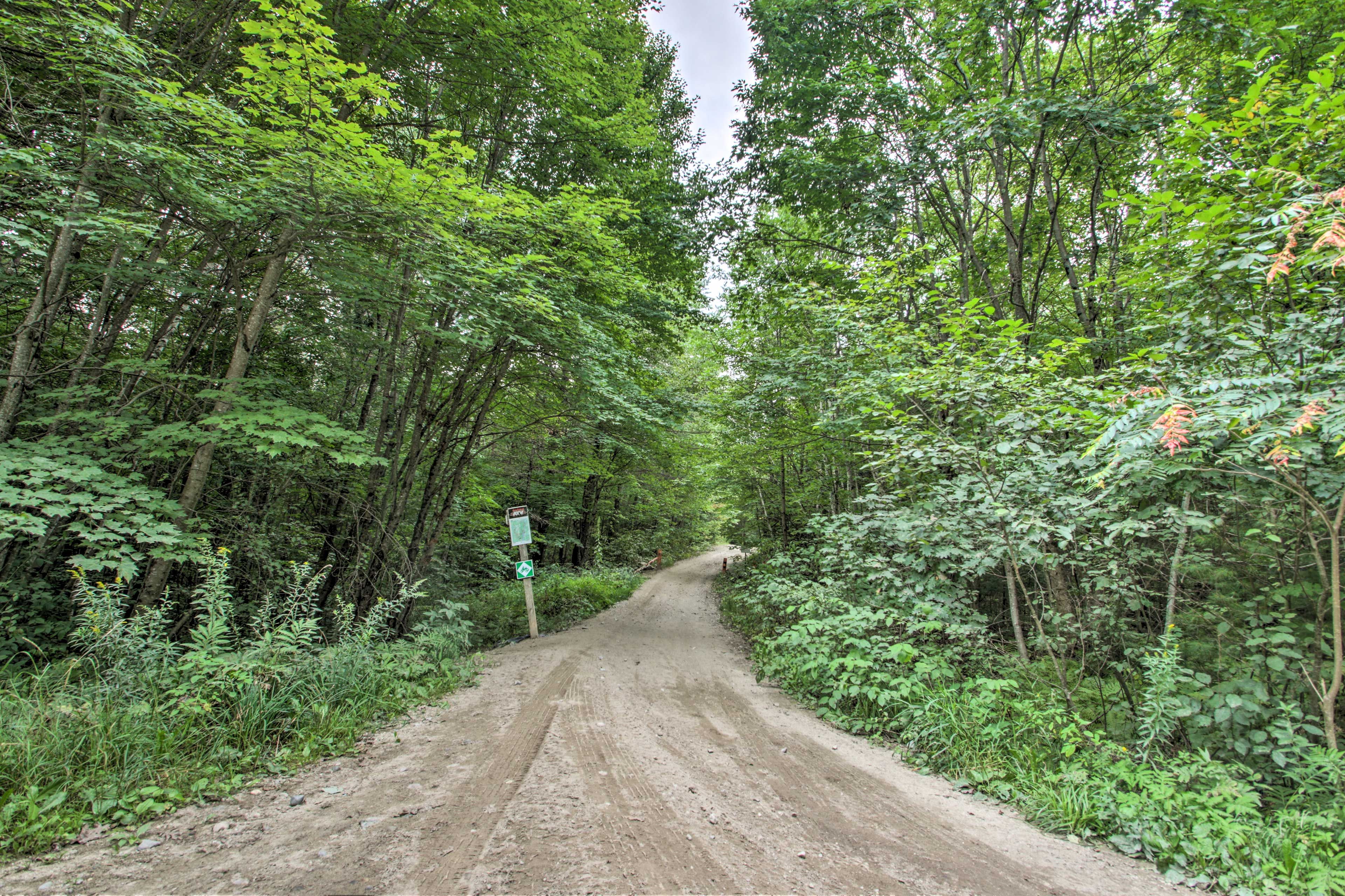 Explore the dense foliage surrounding the vacation rental.