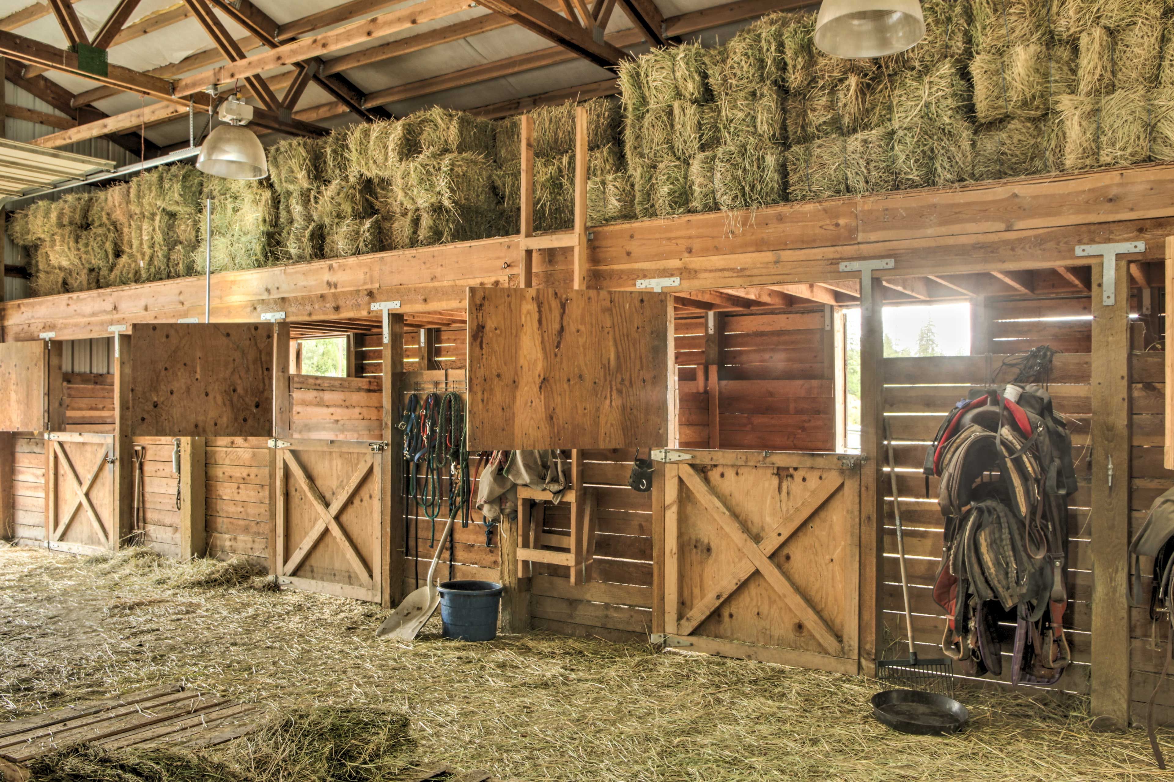 Horse Barn