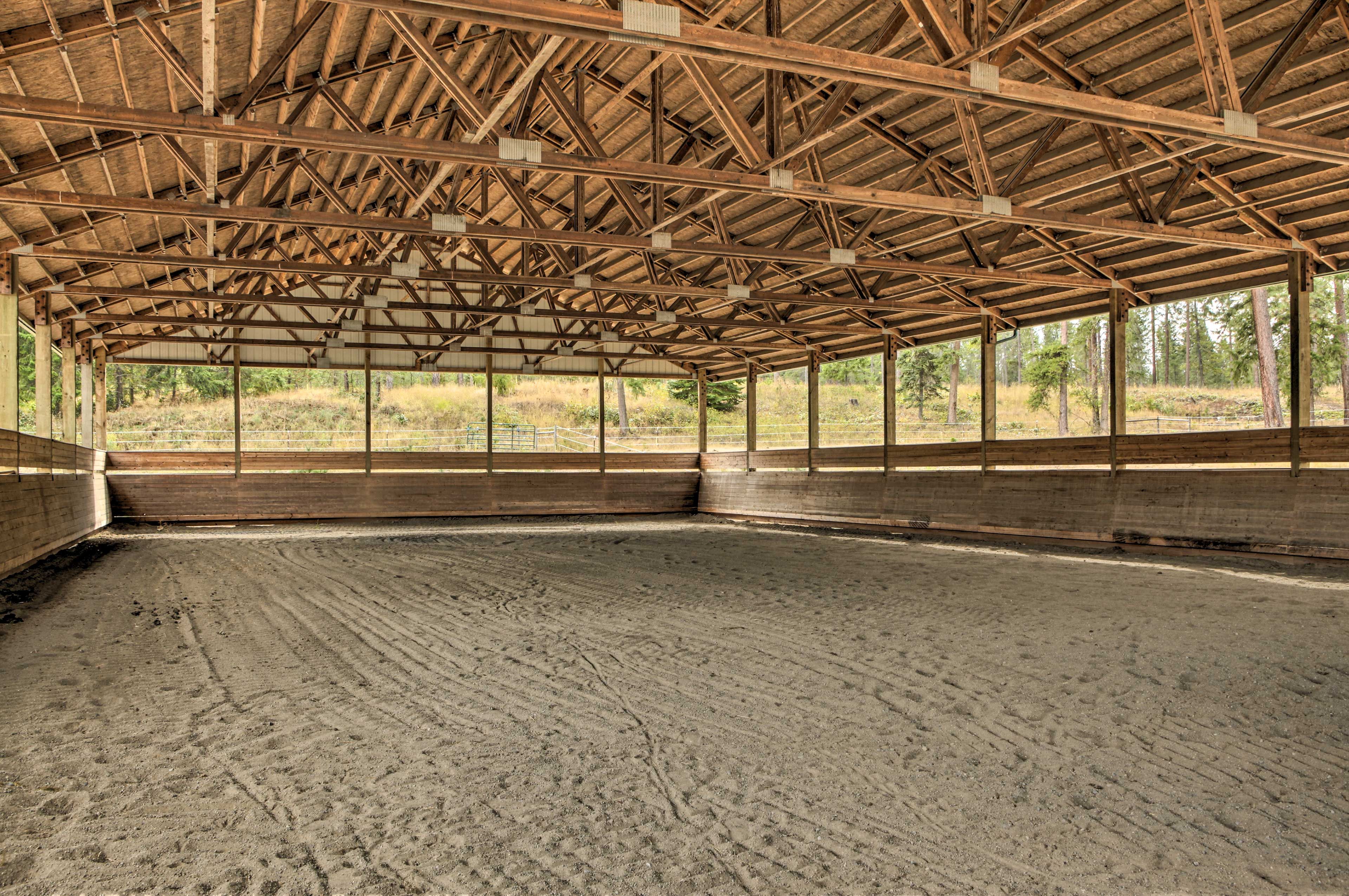 Horse Arena