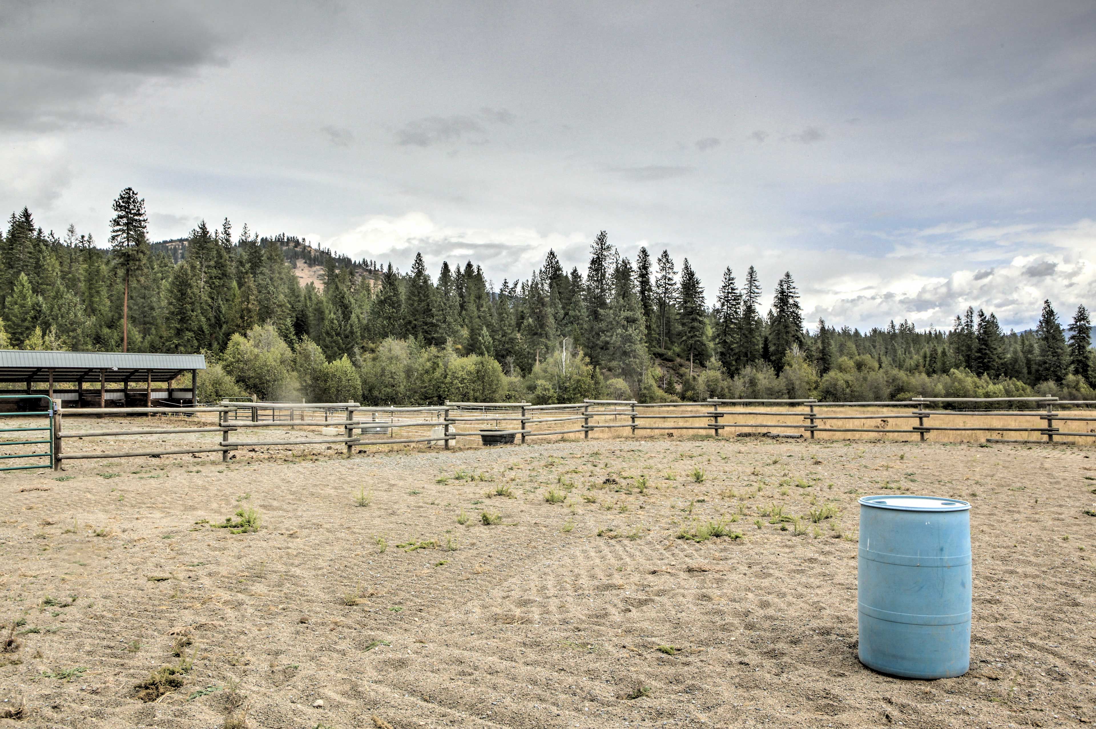 Horse Arena