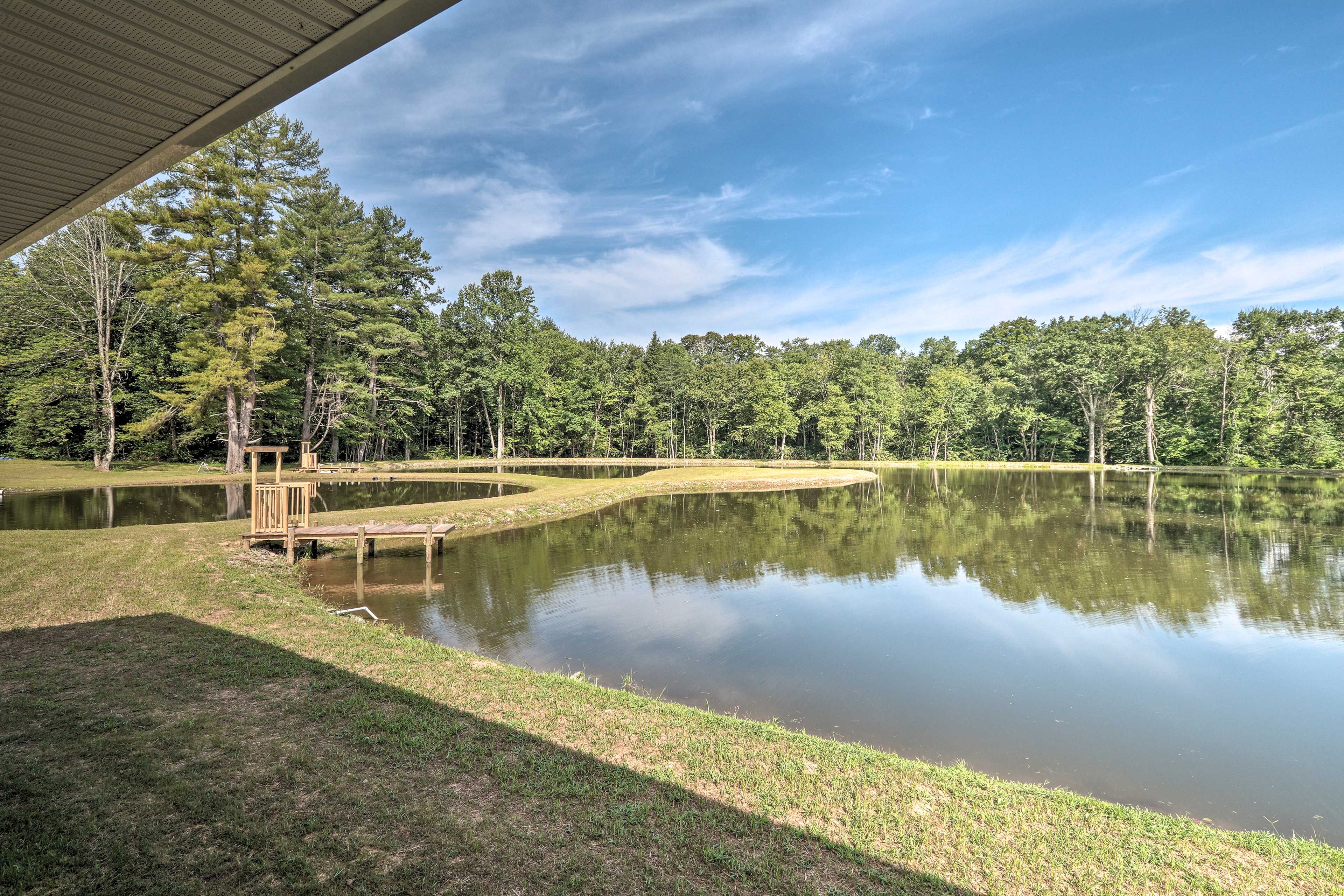 Go for a stroll along the pond areas and try to spot fish.