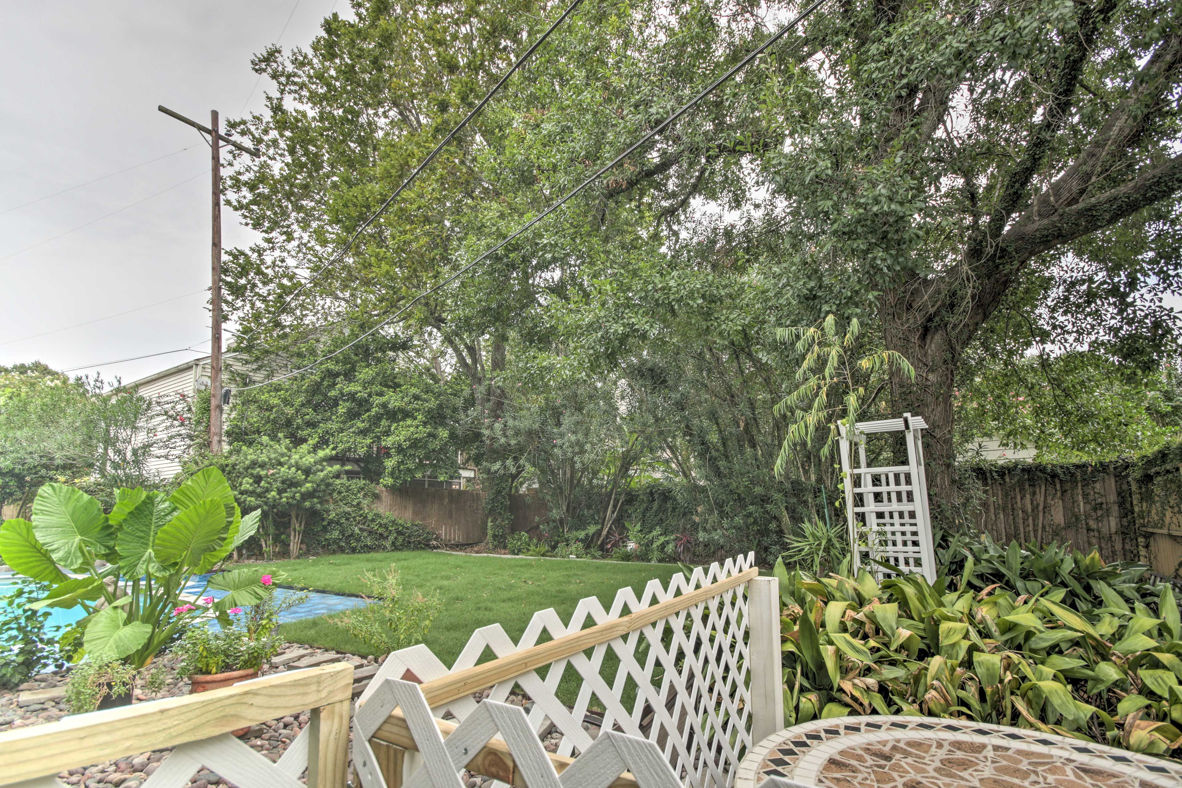 Backyard
