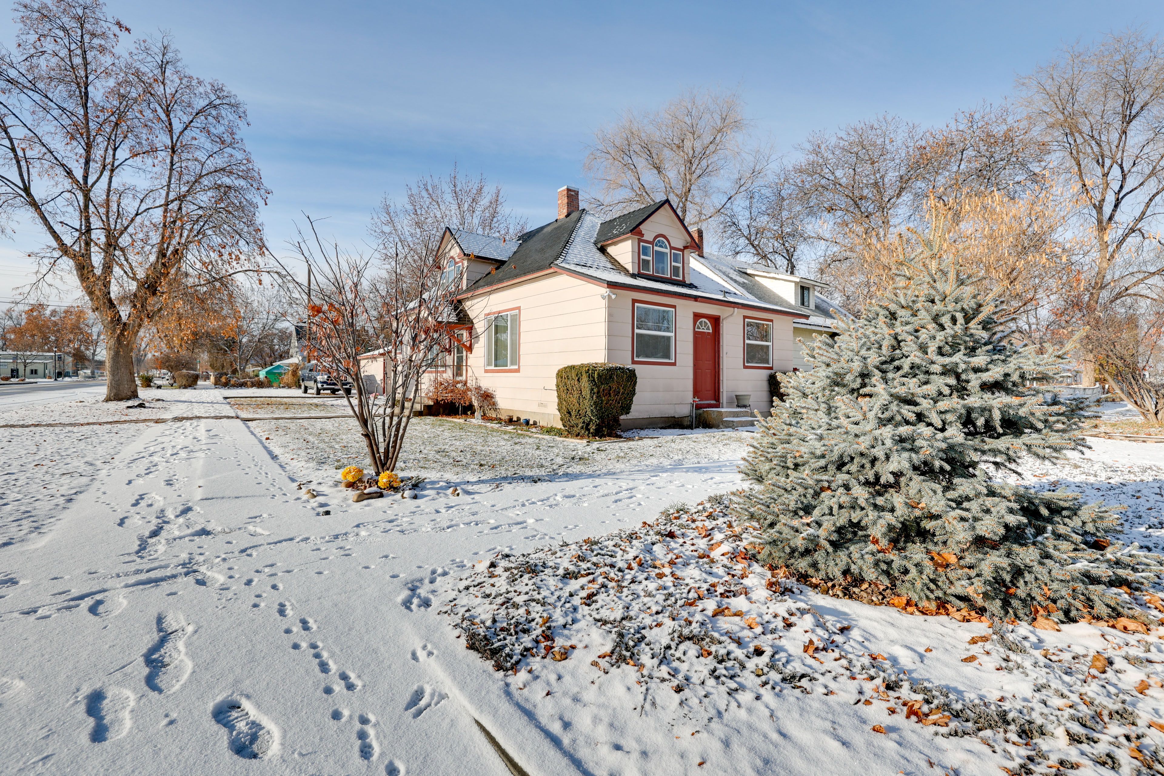 Front Yard
