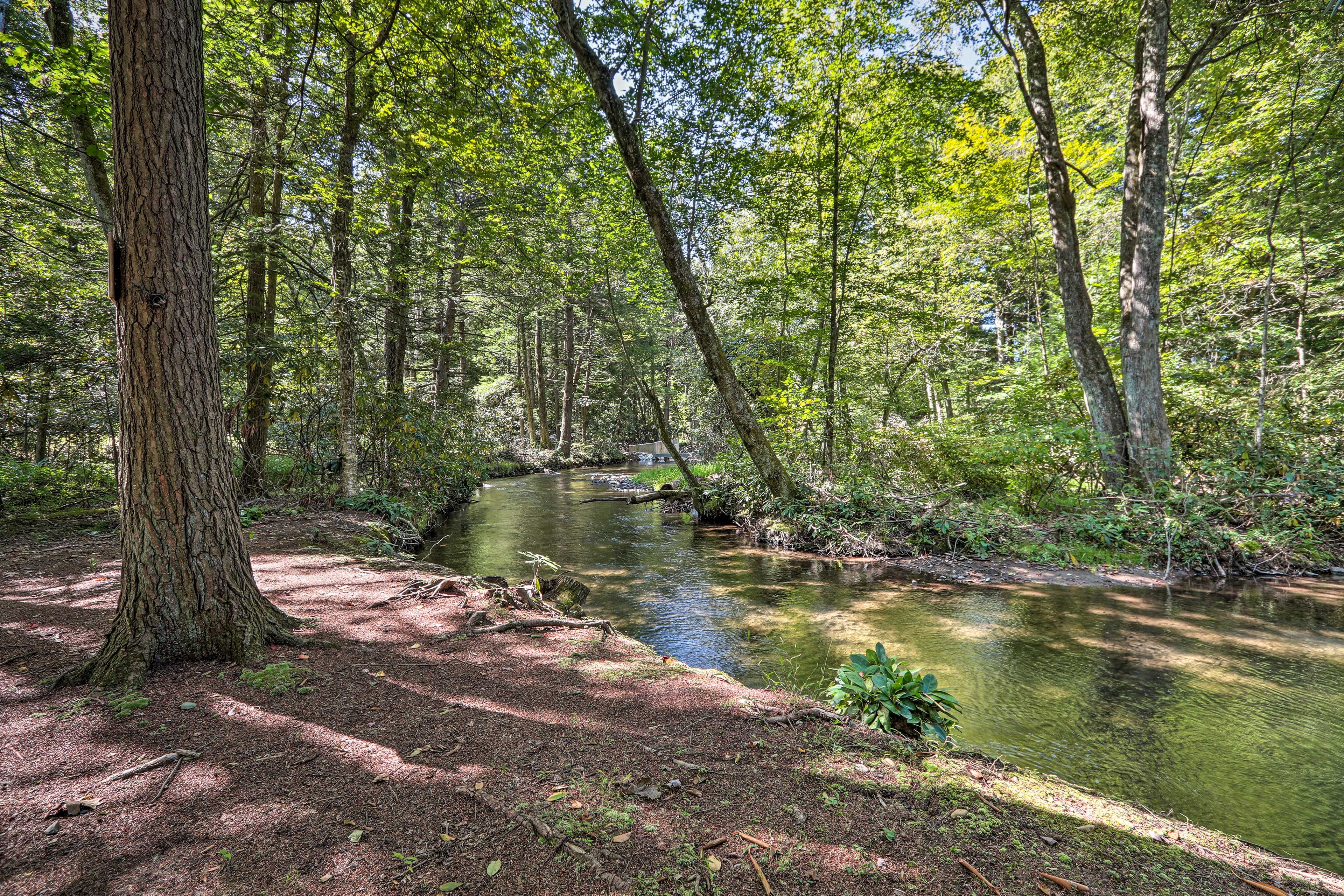 Exterior Space | Creek Views