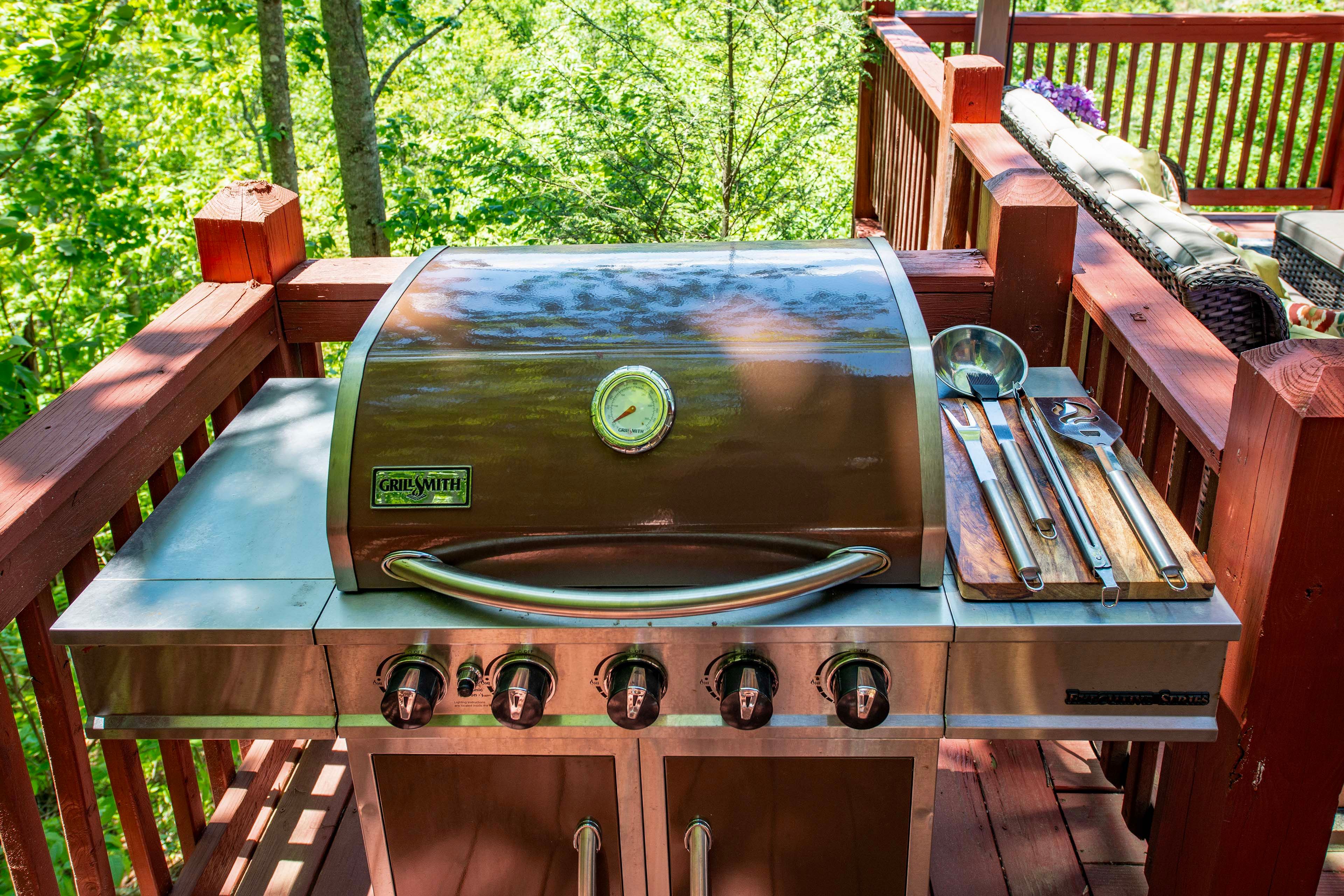 Gas Grill