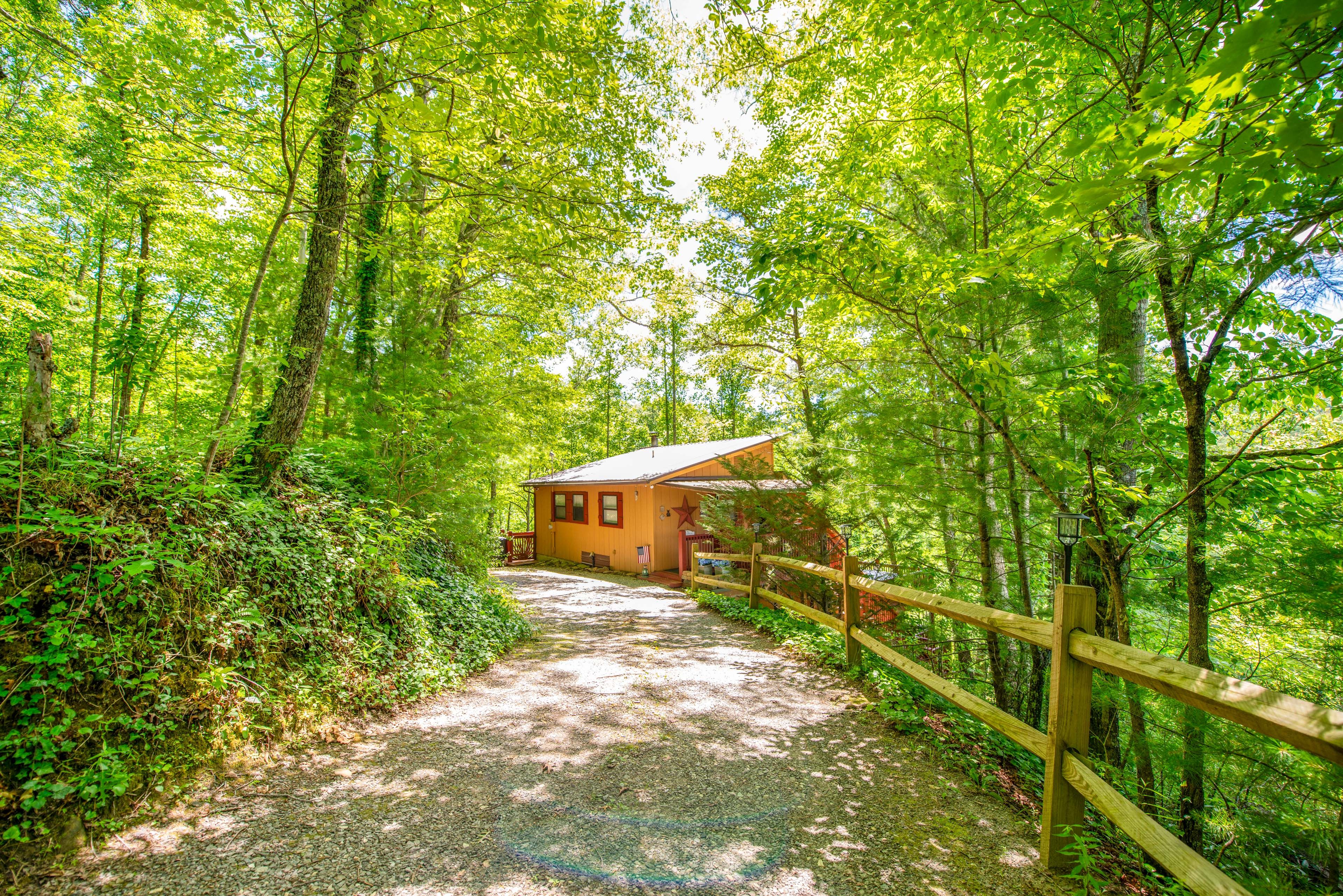 Parking | Driveway Parking (4 Vehicles)