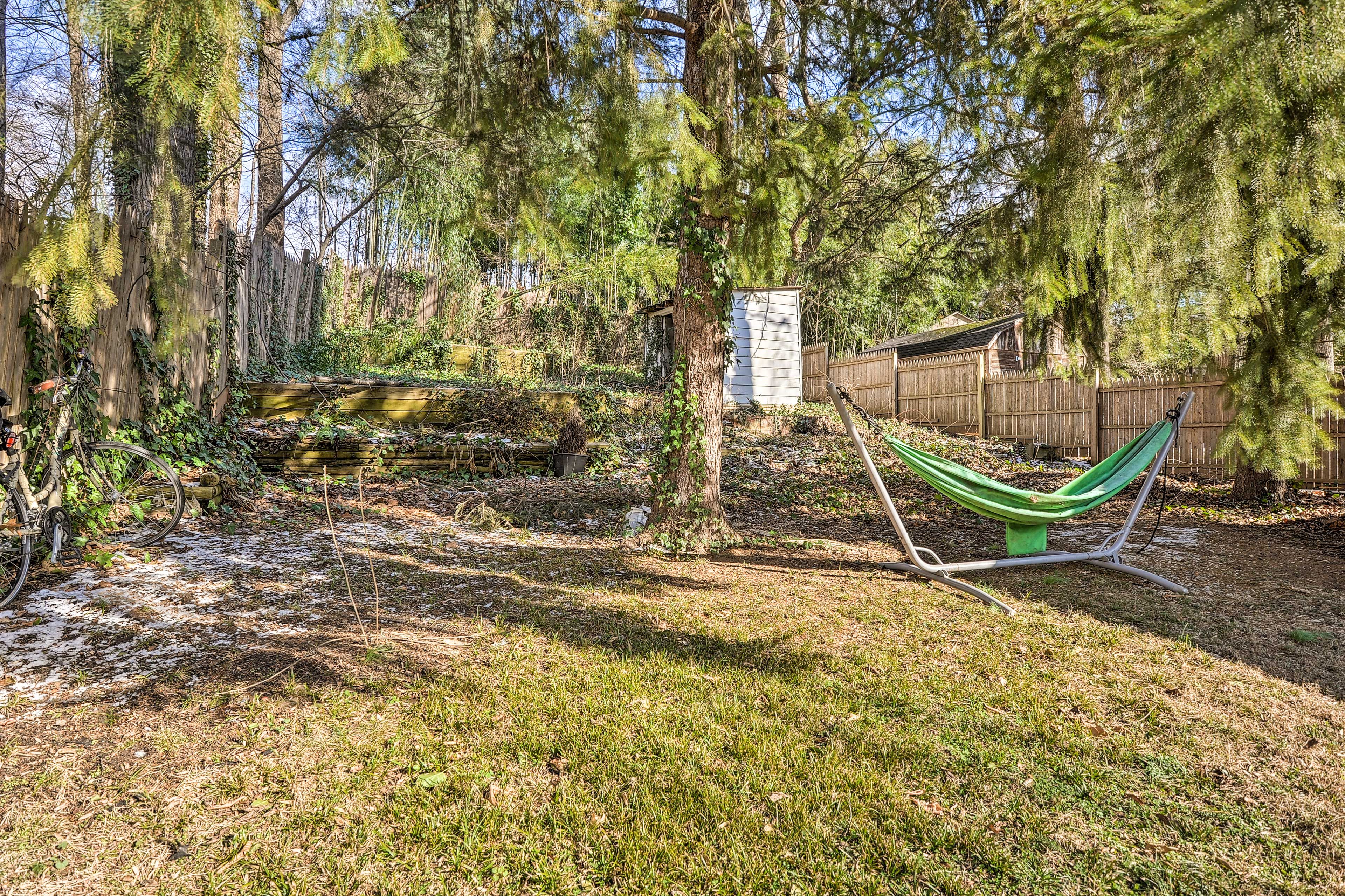 Backyard | Hammock