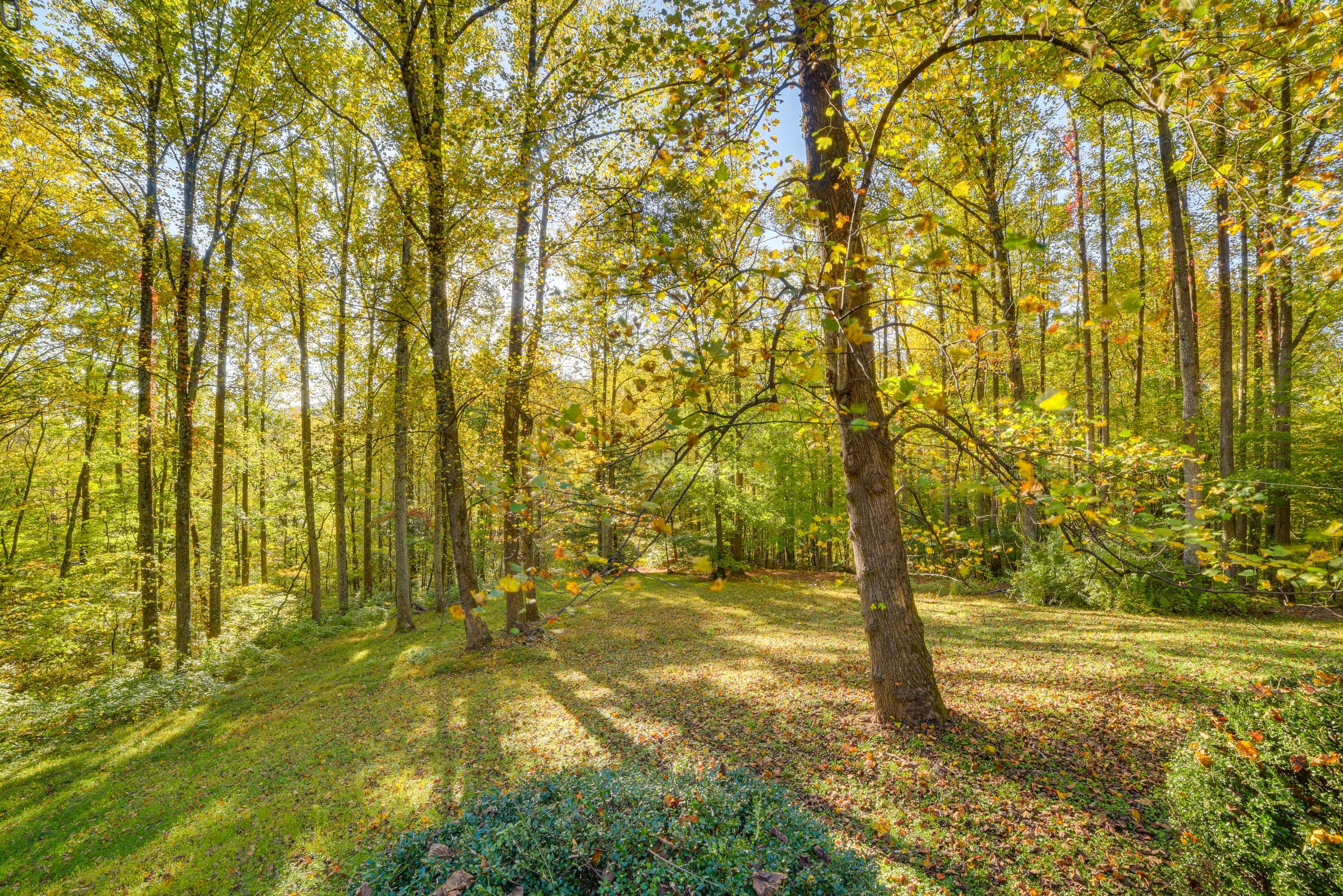 Backyard | Wraparound Porch | Gas Grill | Outdoor Seating | Fire Pit