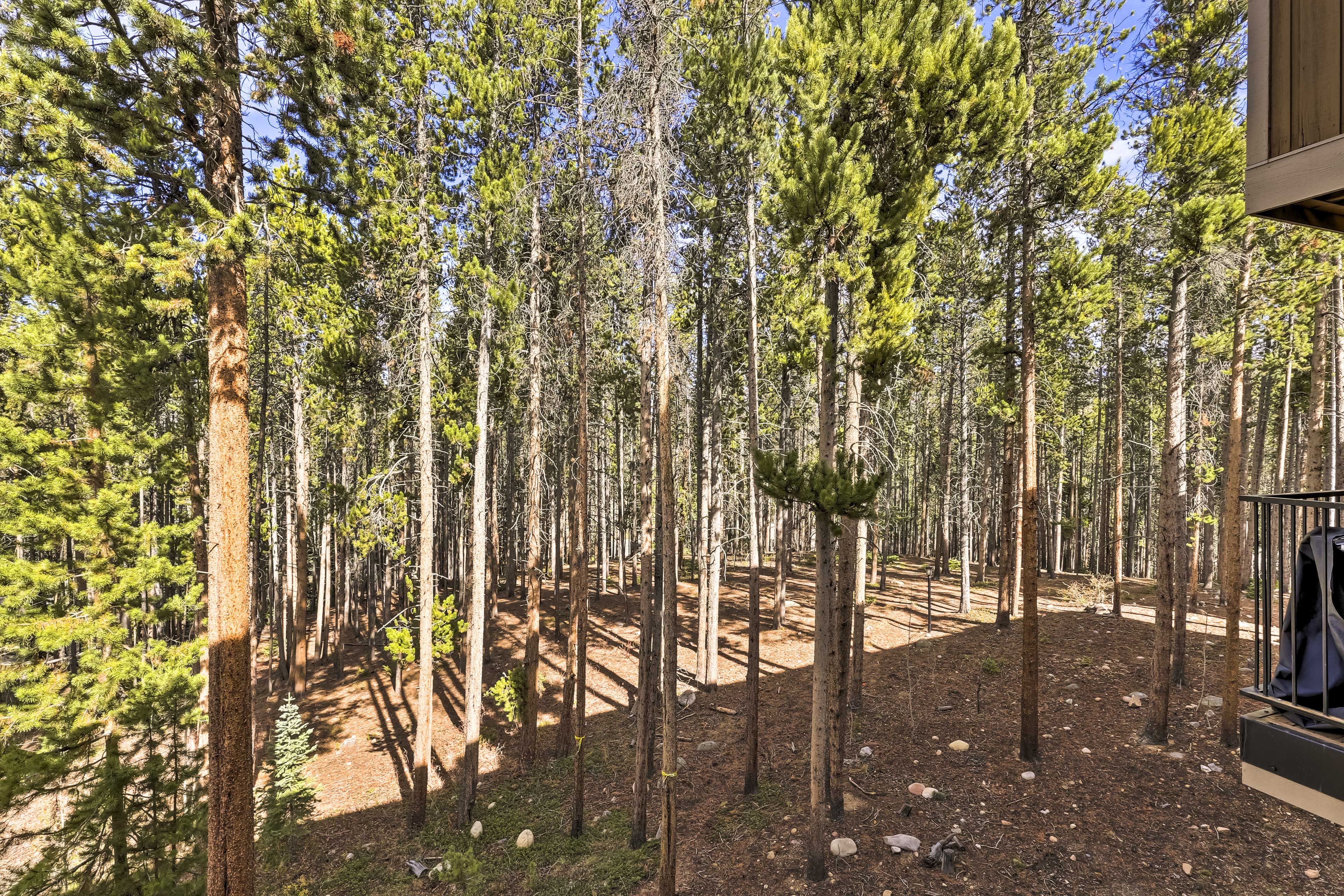 Private Balcony Forest View