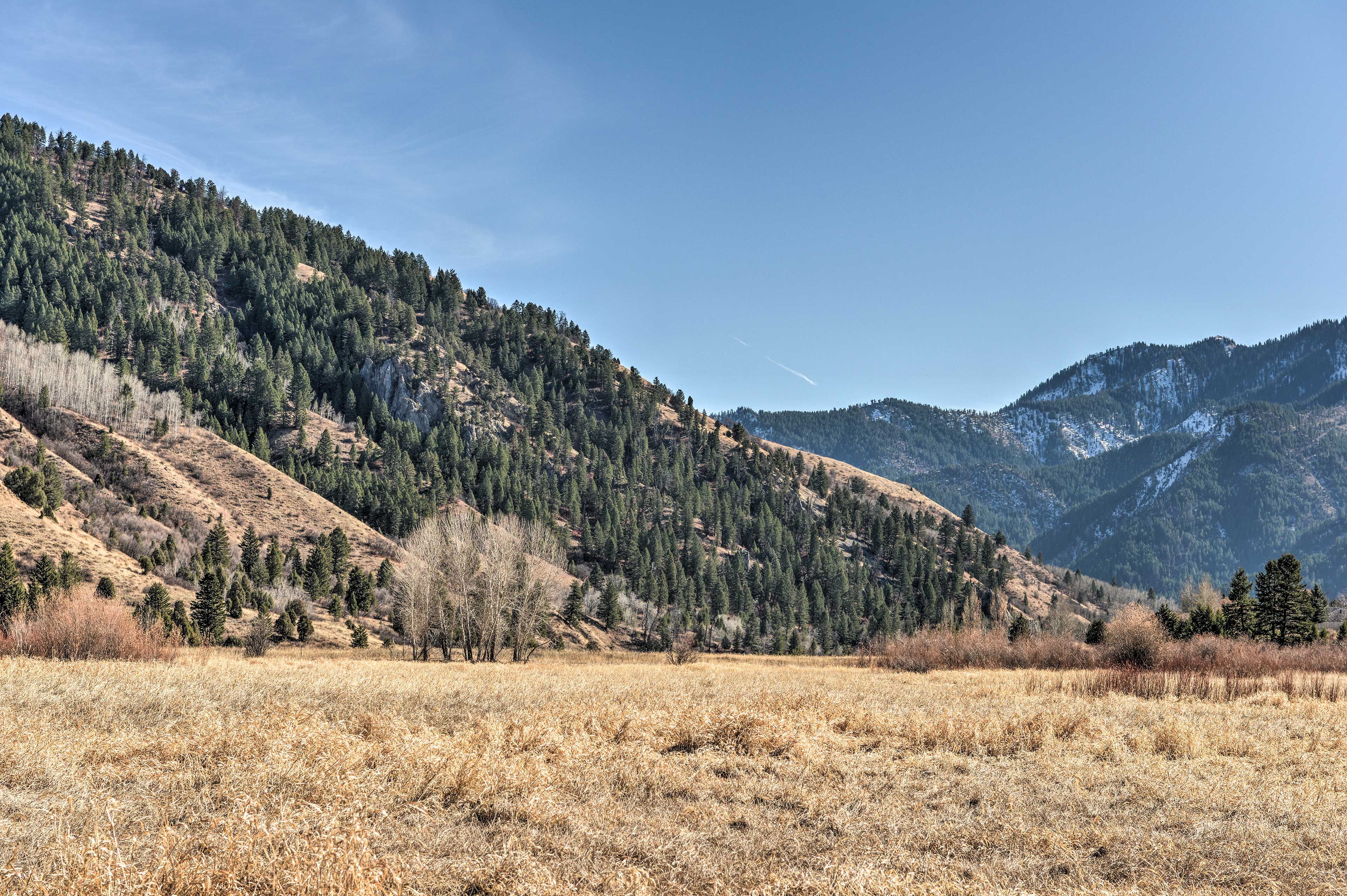 Mountain Views