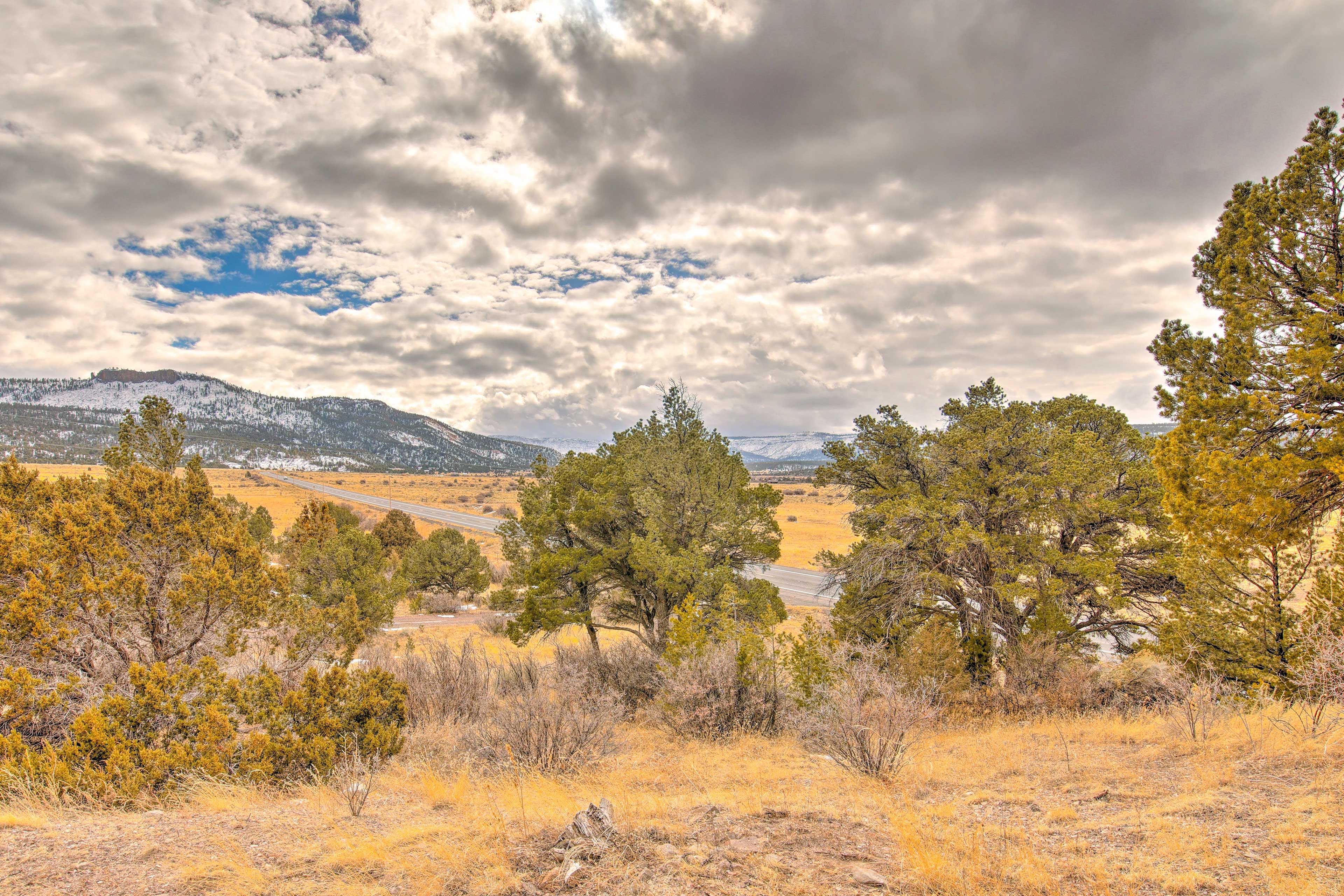 Property Views