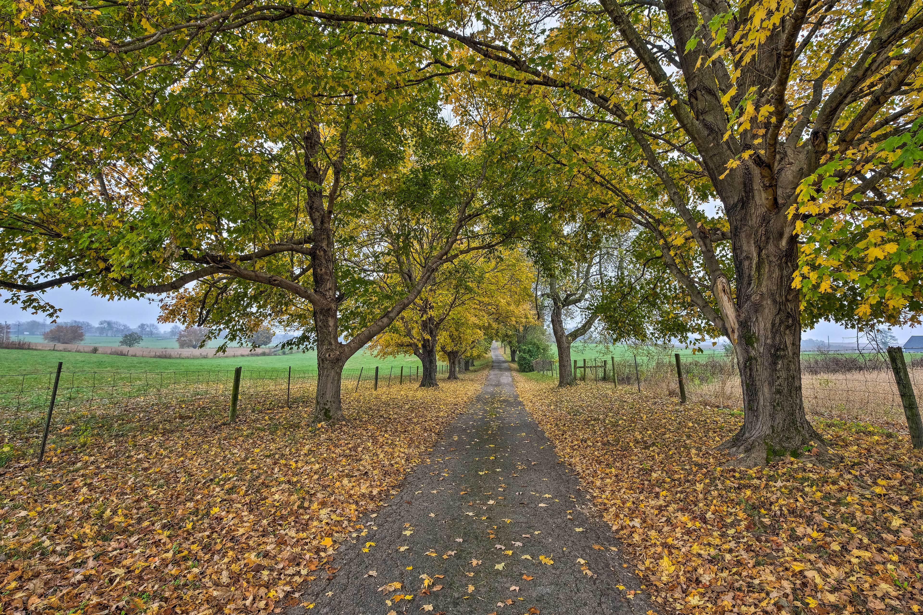 Property Road