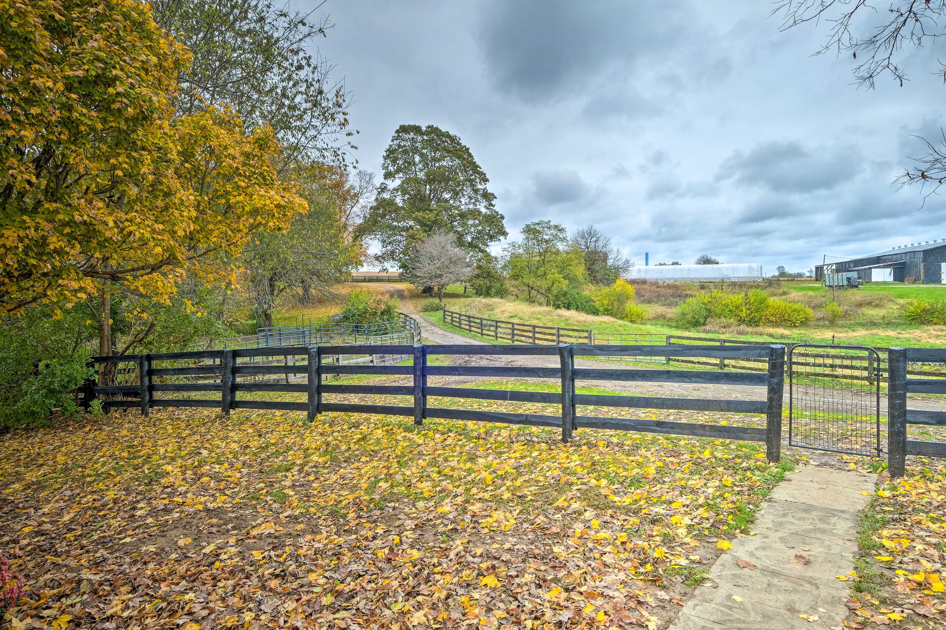 Front Yard