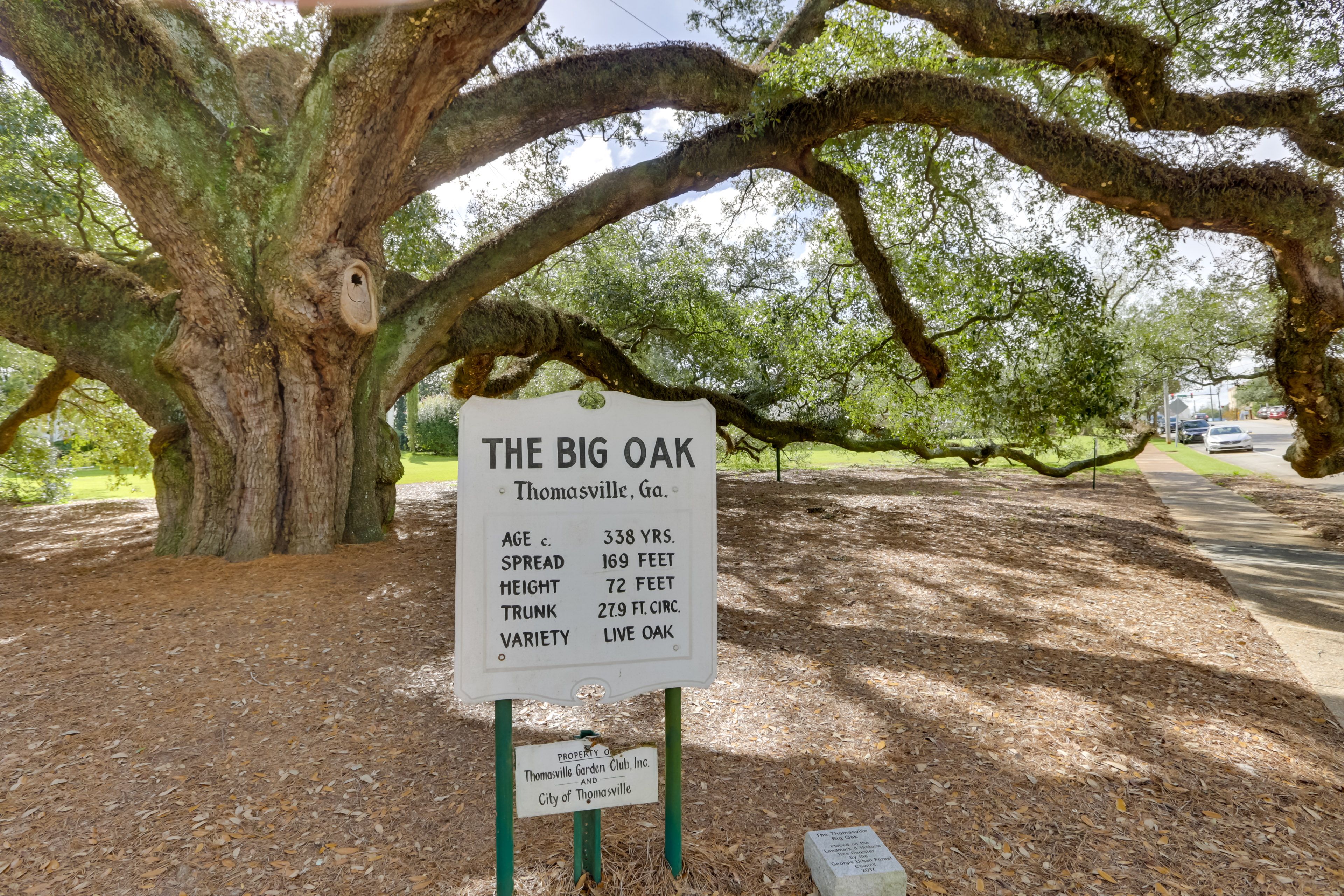 Community Tree