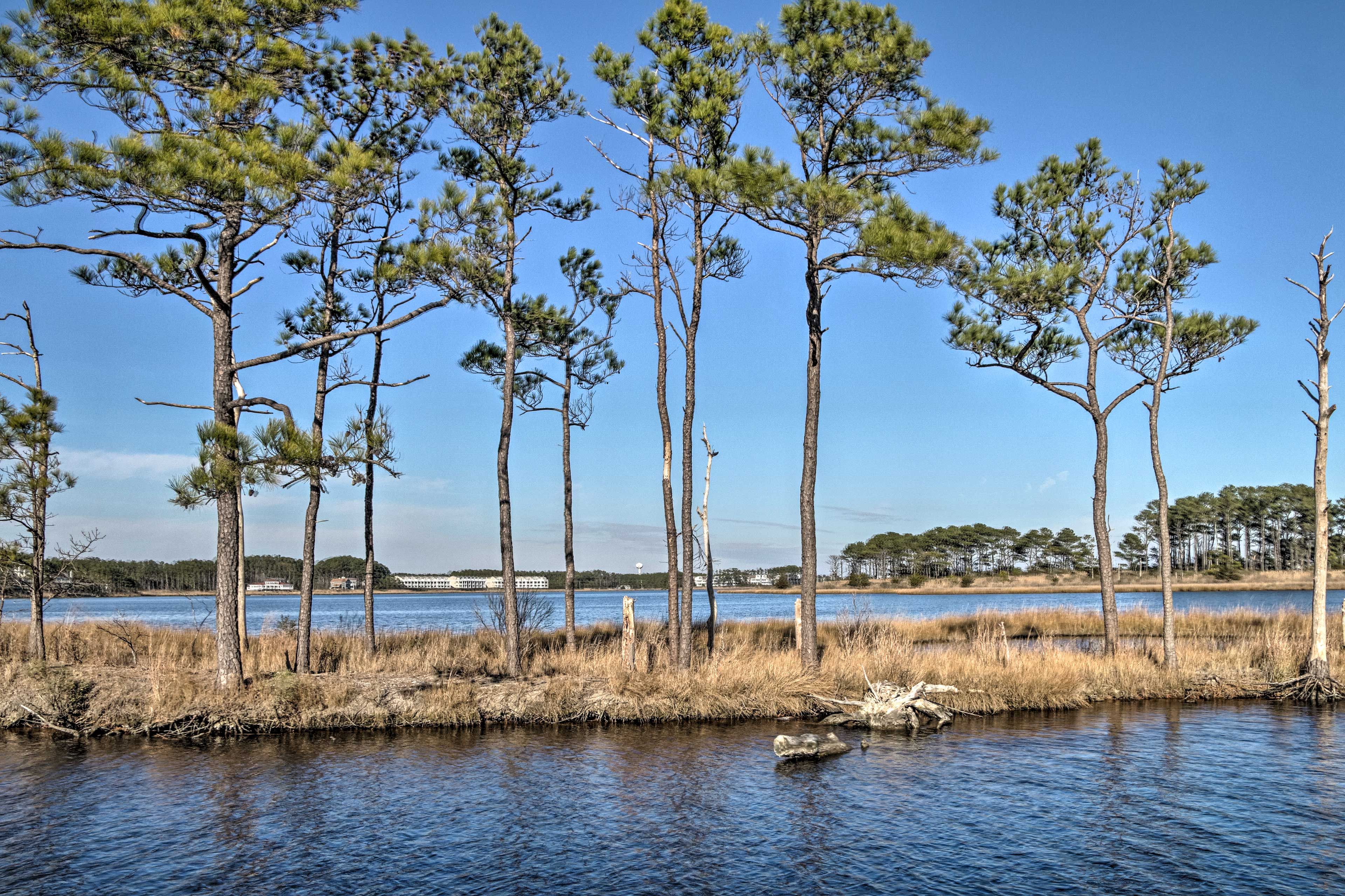 Local Attraction | Salt Pond