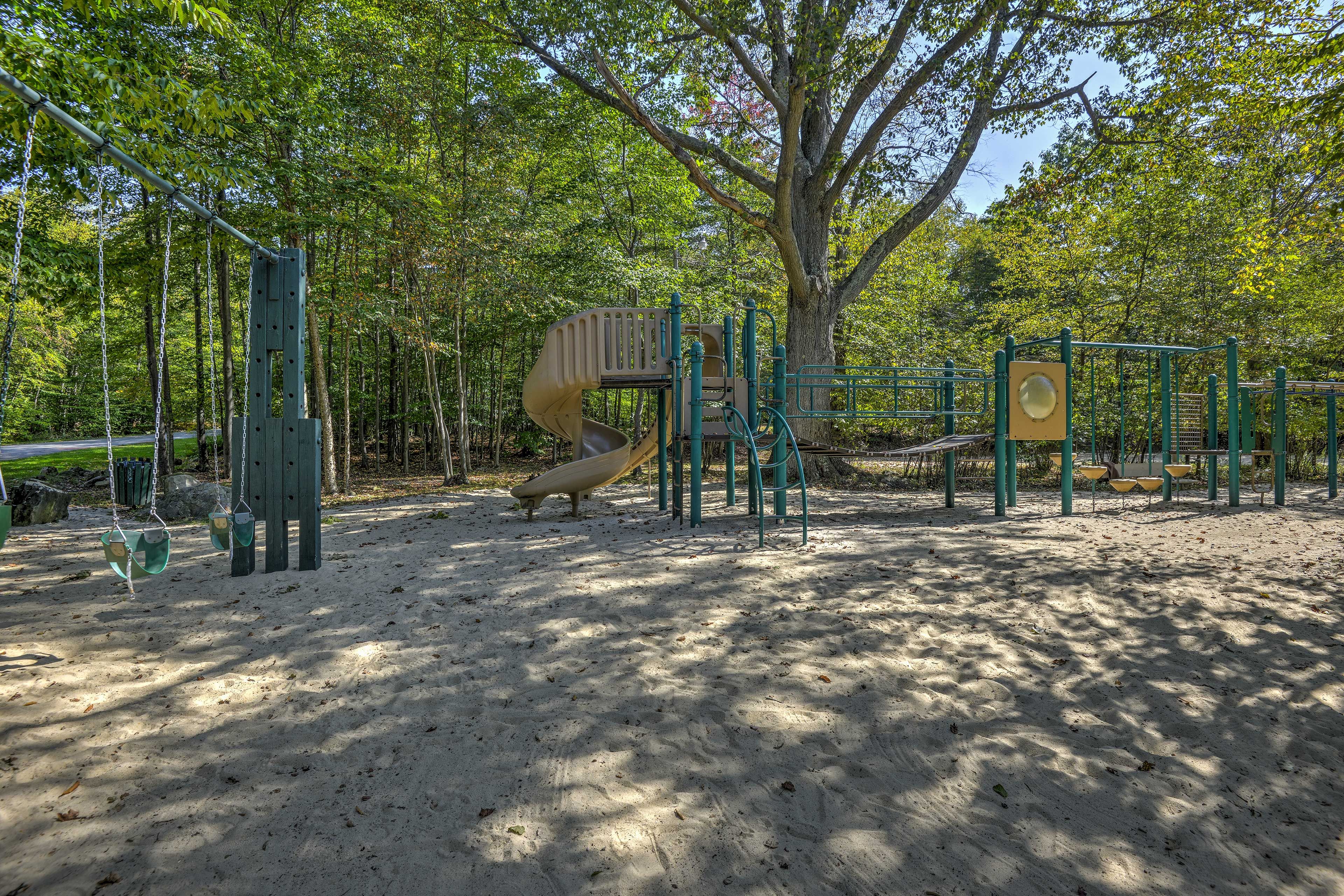Image 38