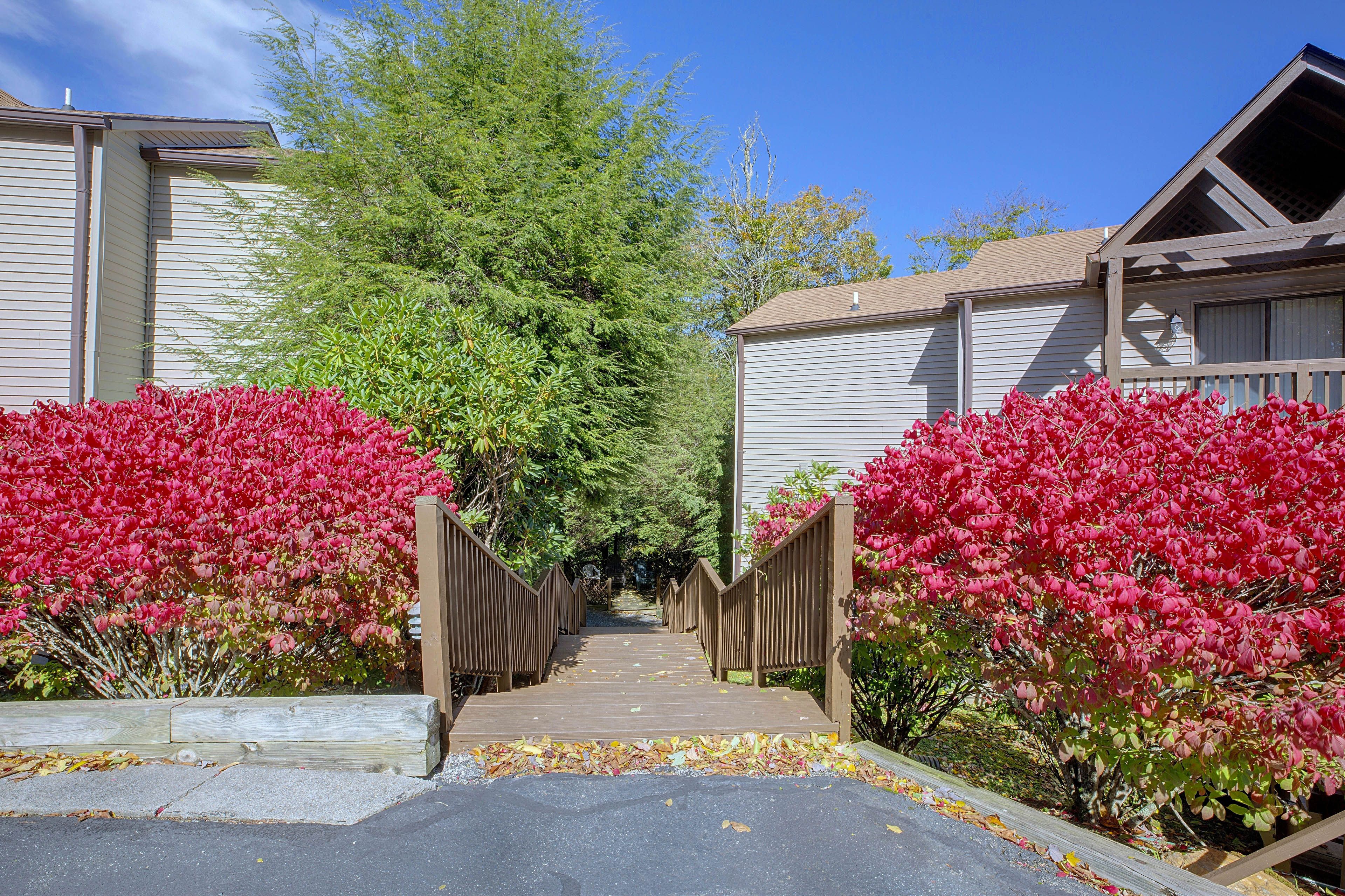 Condo Access