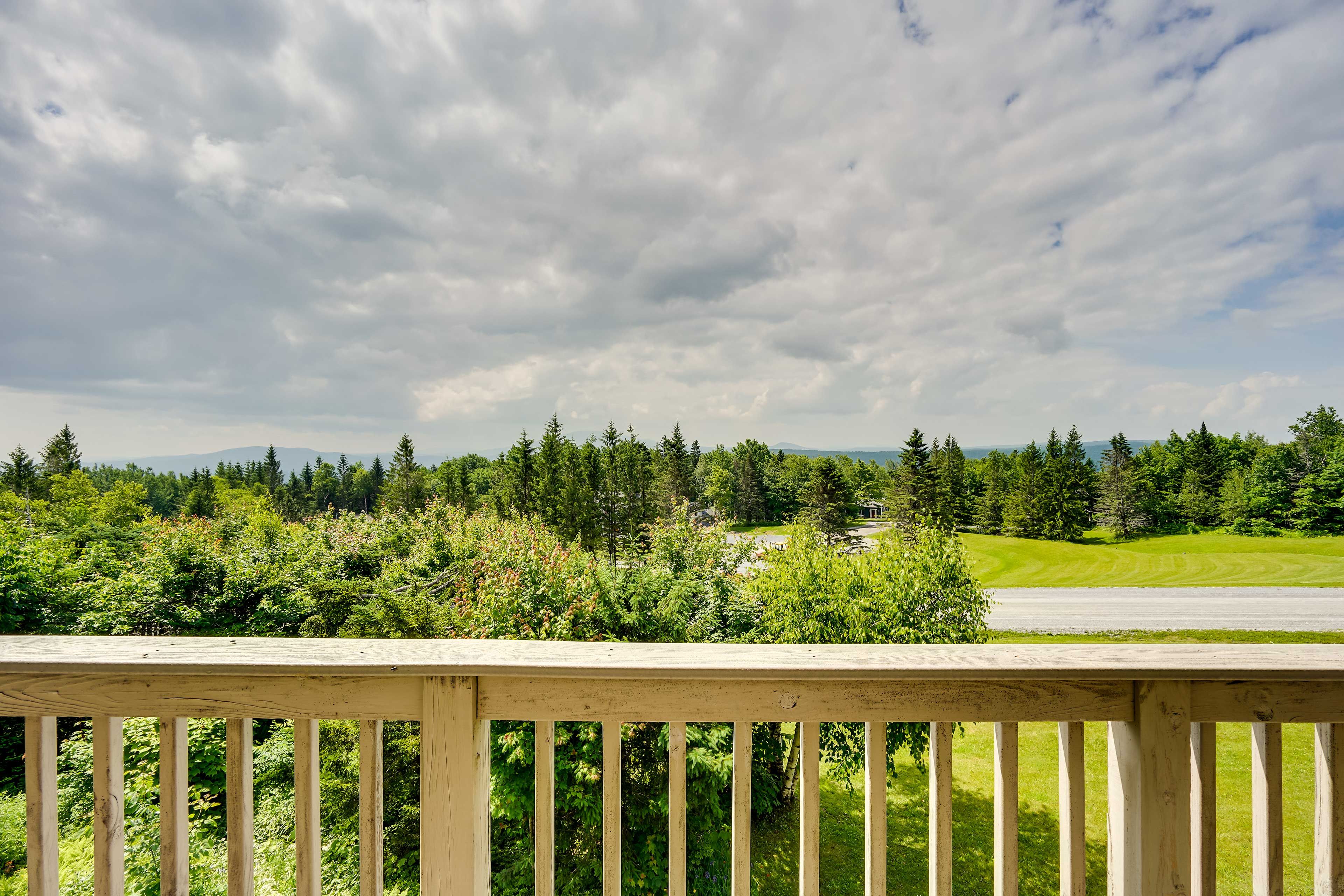 Stratton Mountains View