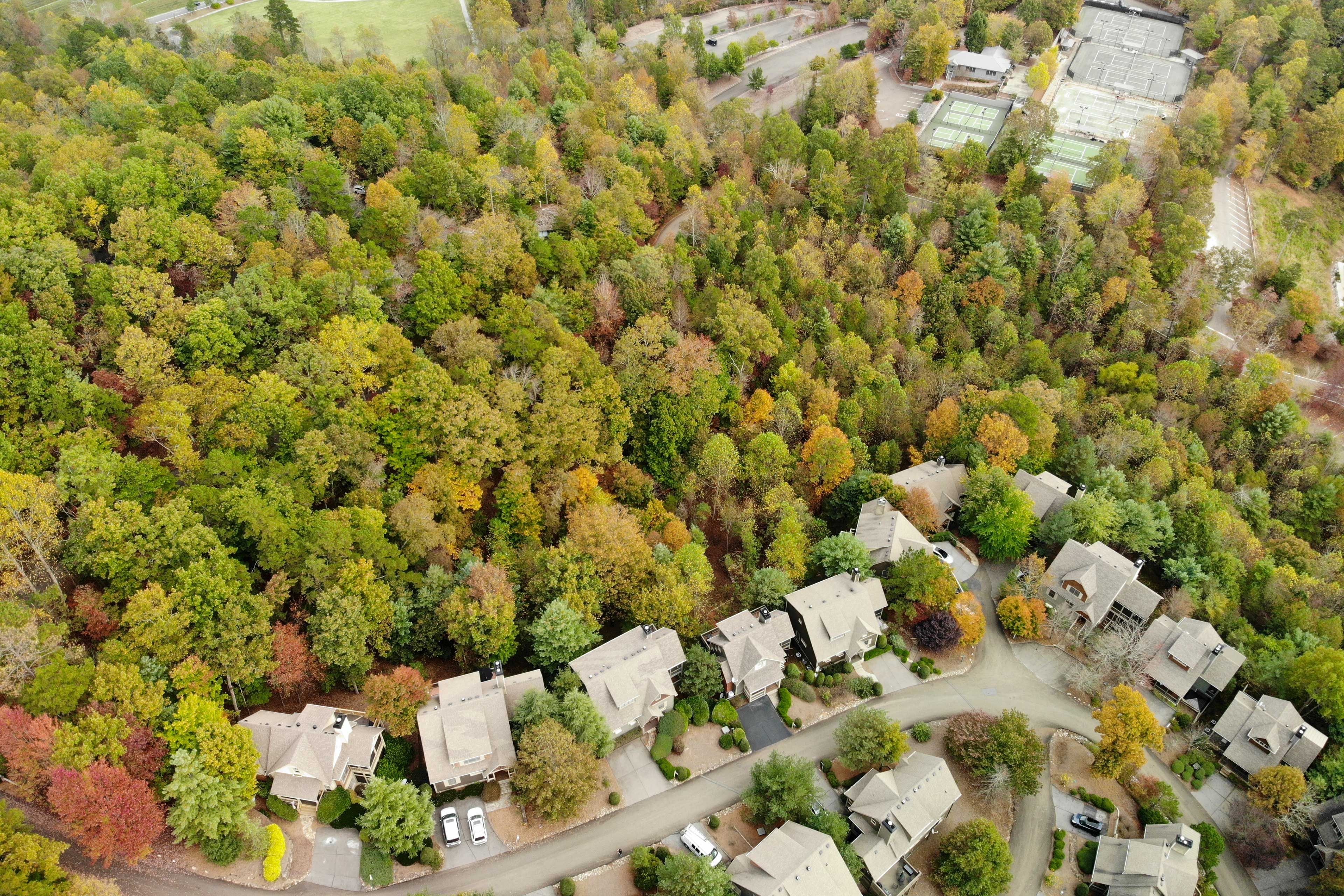 Community Area