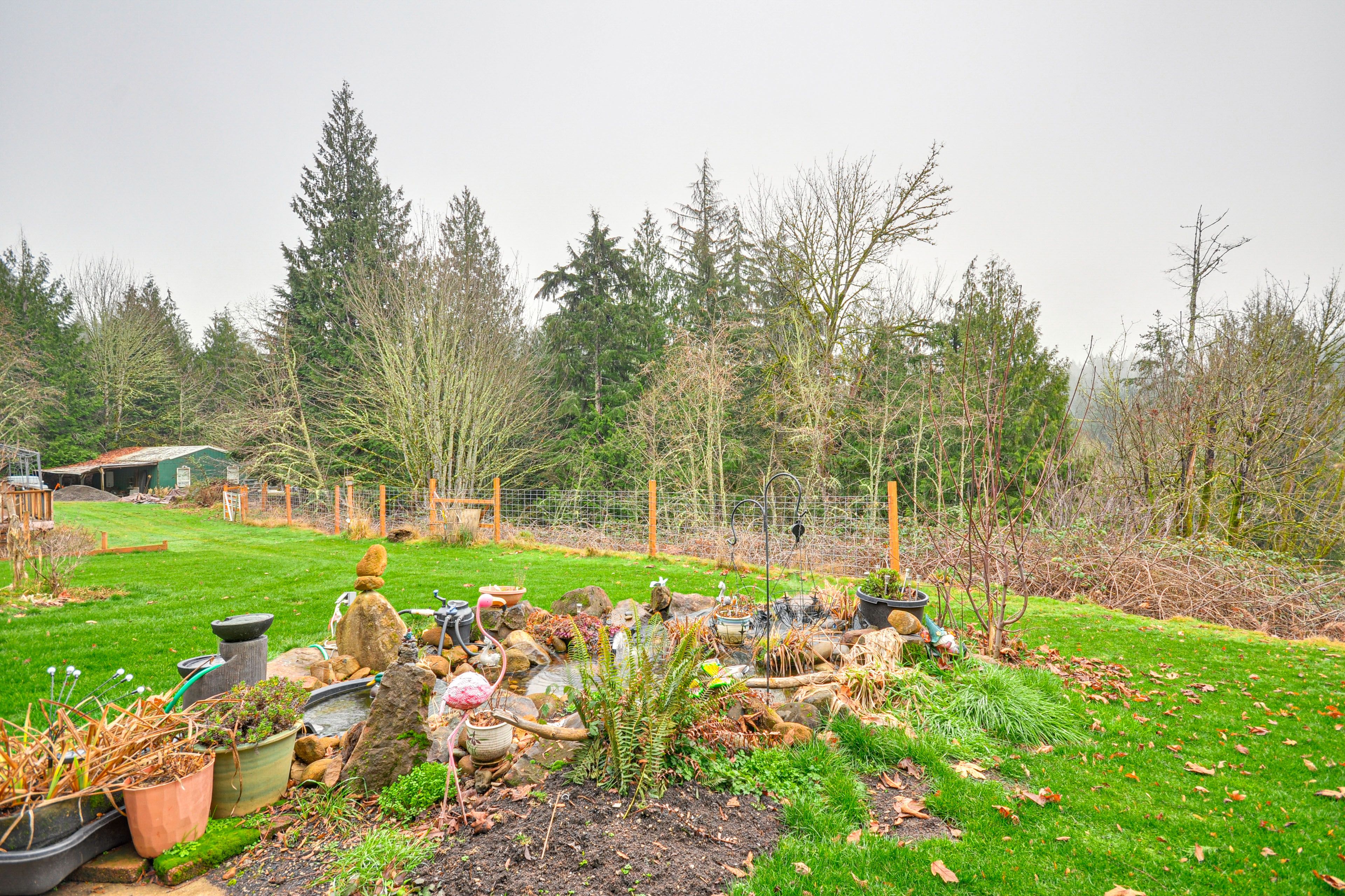 Backyard | Water Feature