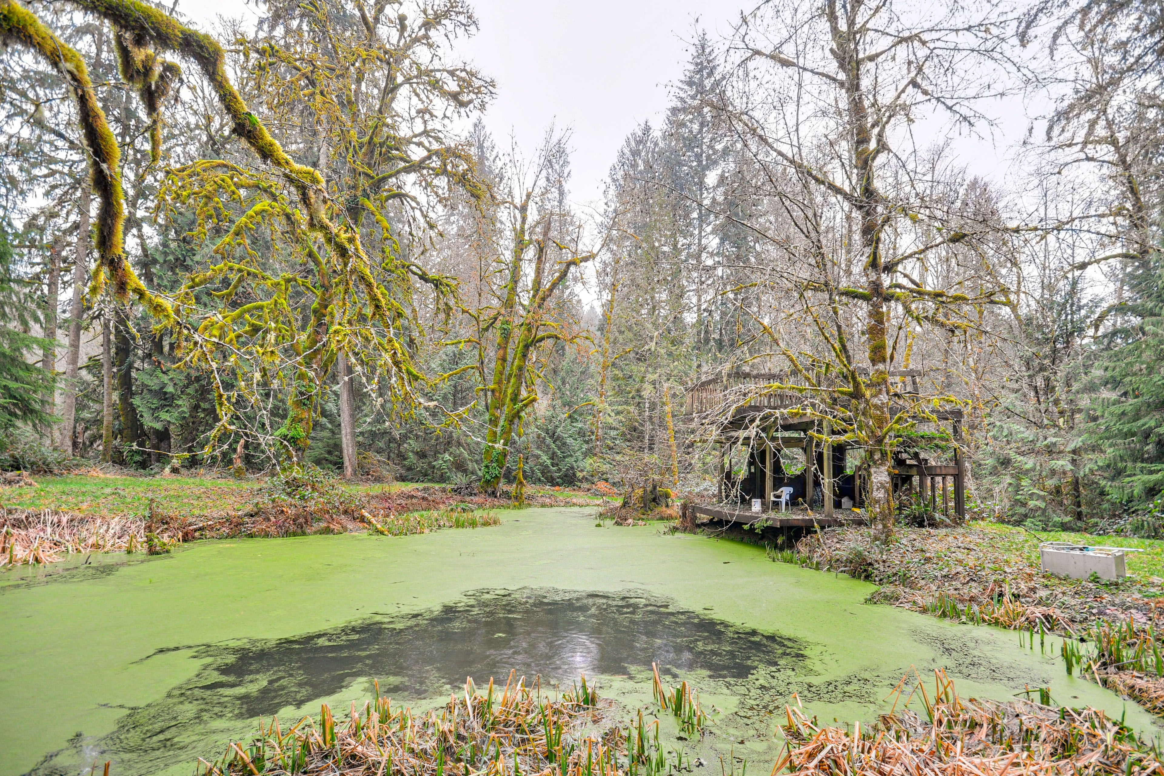 Trout Pond (No Throwback Pond)