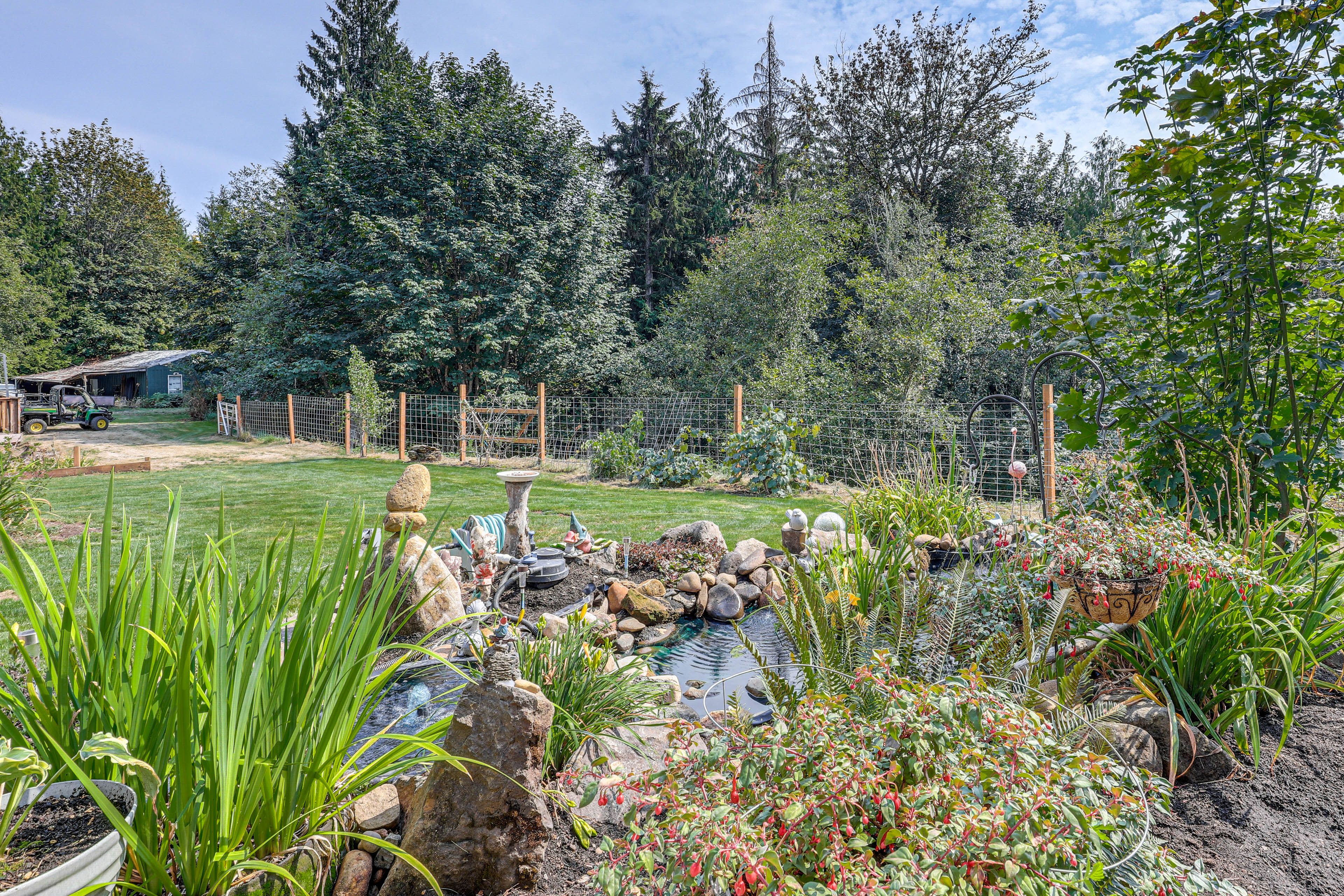 Backyard | Water Feature