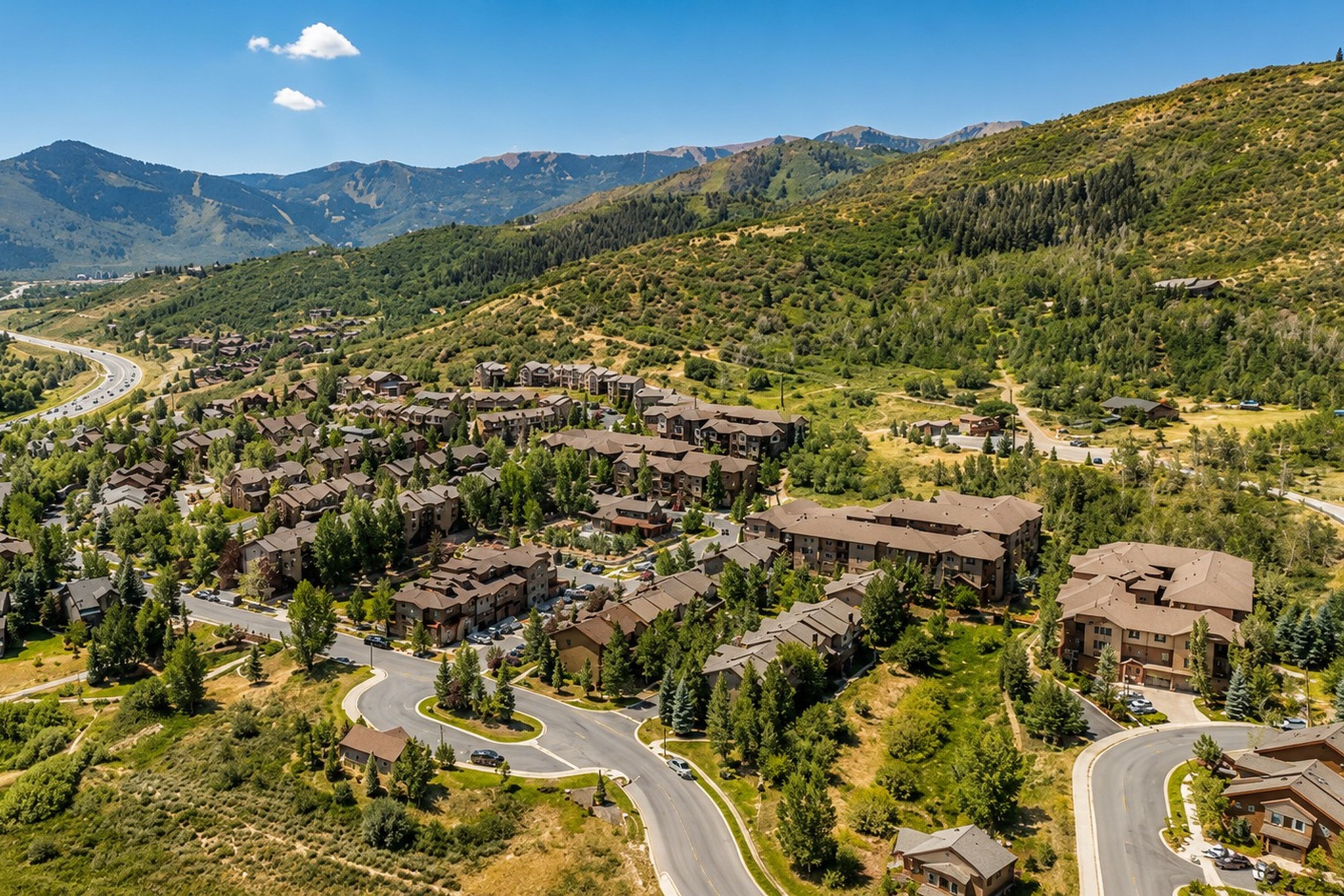 Overview